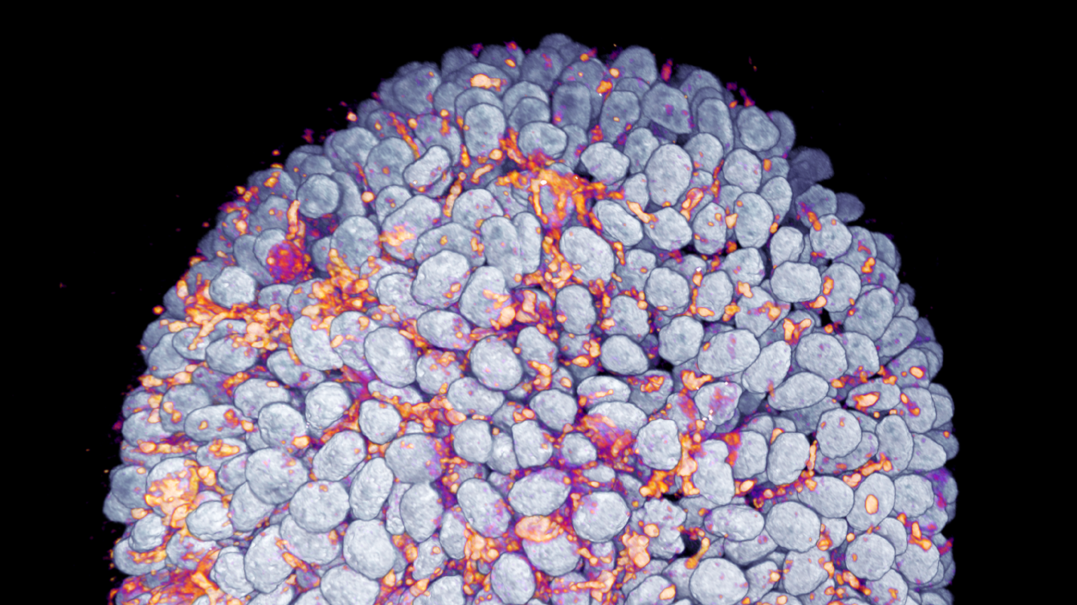 Deepening authority and trust. 