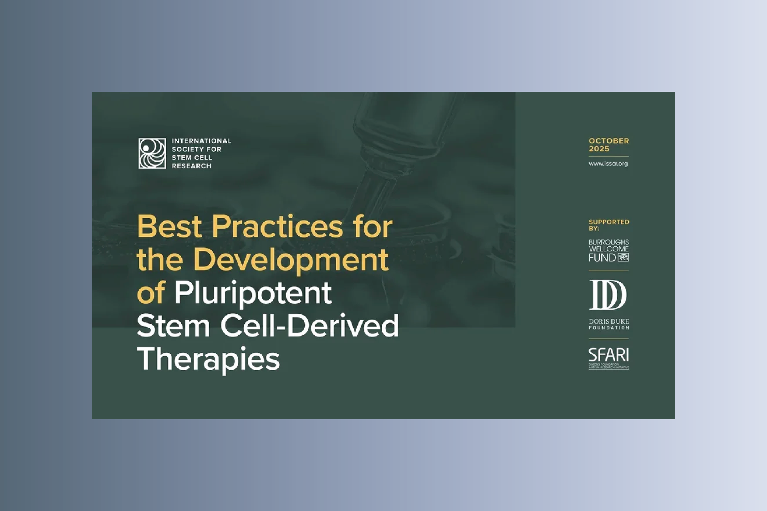Best Practices for the Development of Pluripotent Stem Cell-Derived Therapies