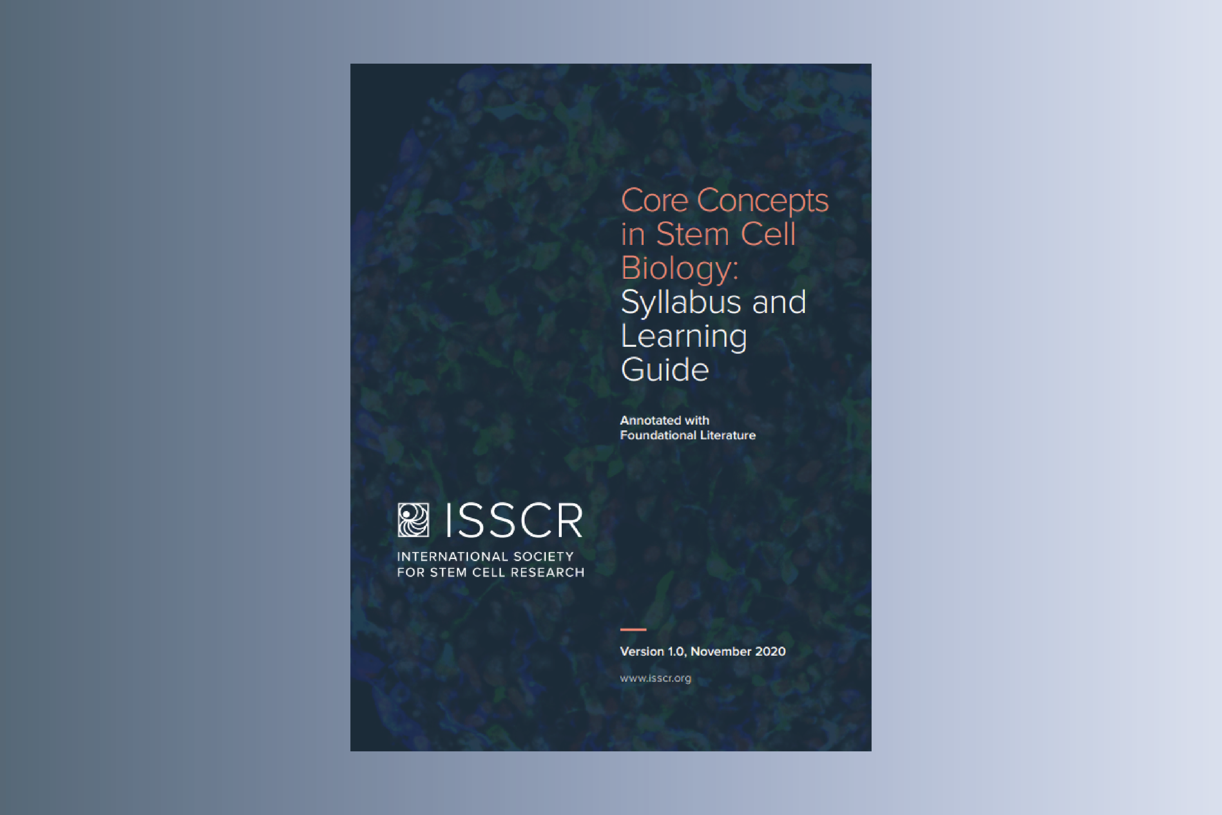 Core Concepts in Stem Cell Biology: Syllabus and Learning Guide