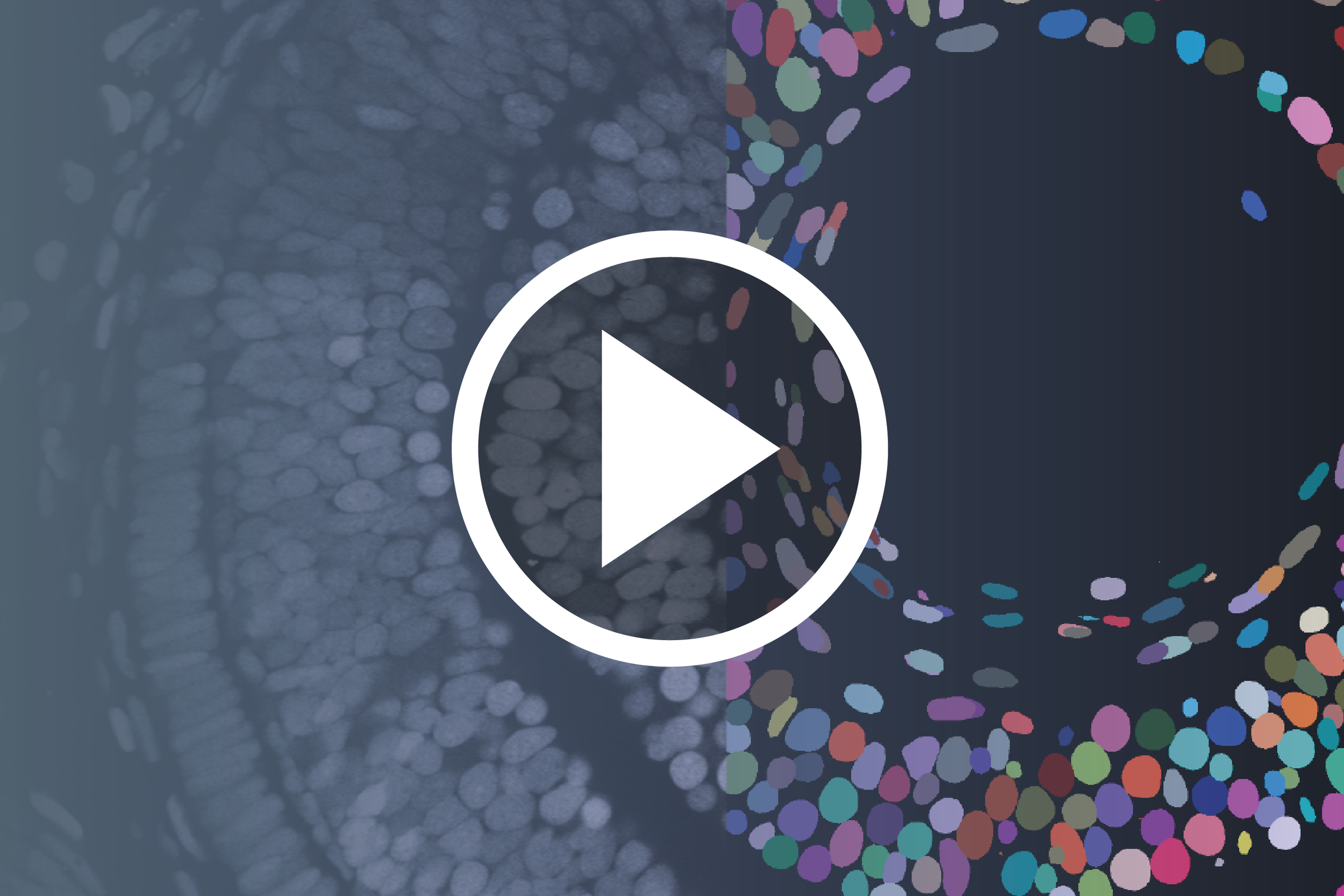 Integrating Biophysics into Stem Cell Biology