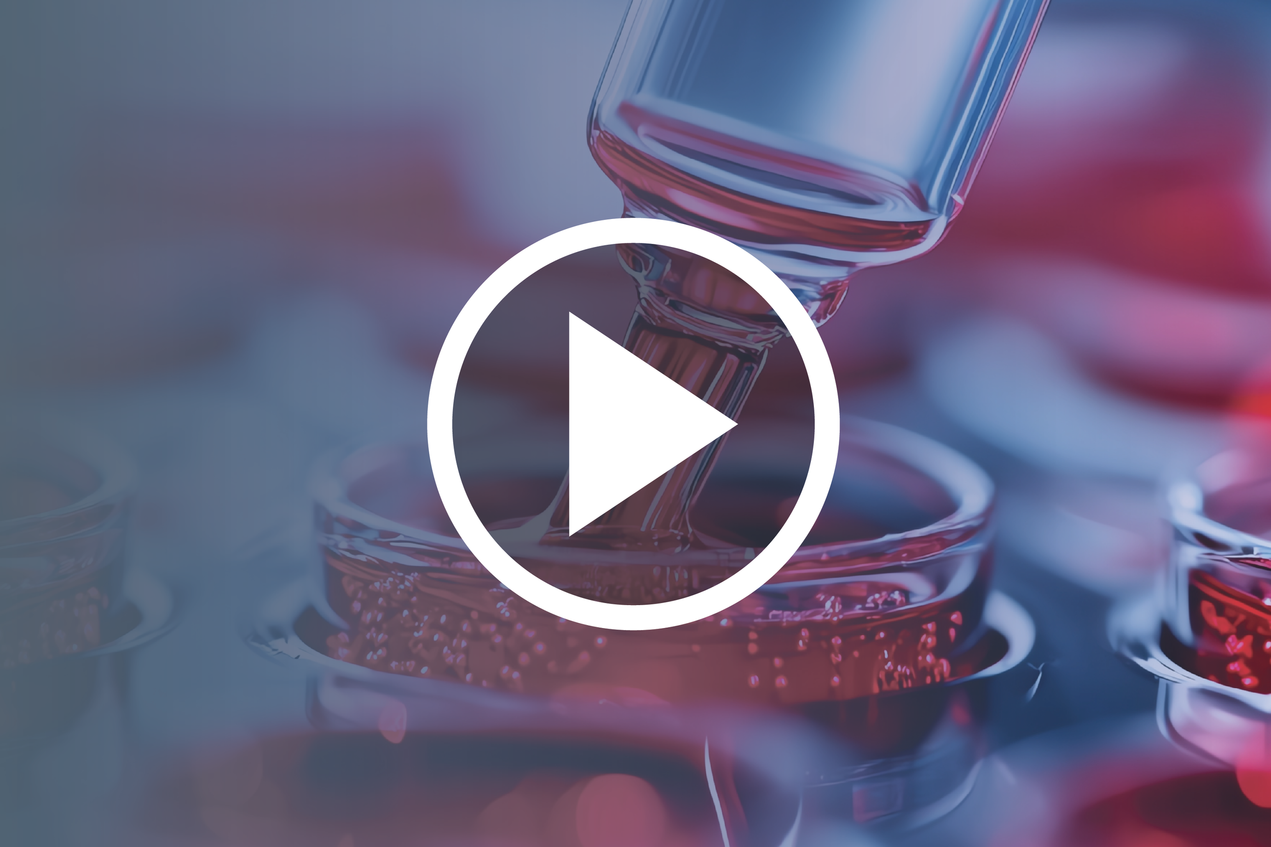 Best Practices for the Development of PSC-Based Therapies: An Updated Draft