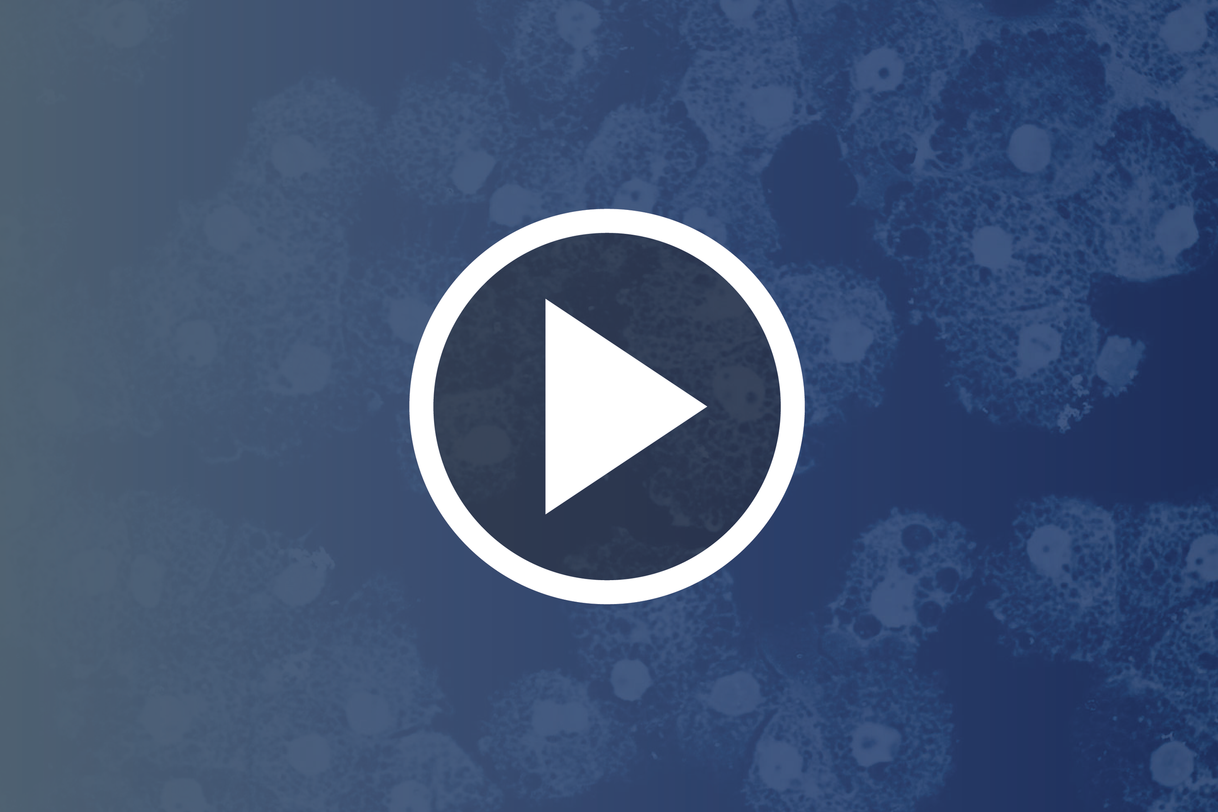 ISSCR Embryo Models Working Group: Summary of Findings and Recommendations
