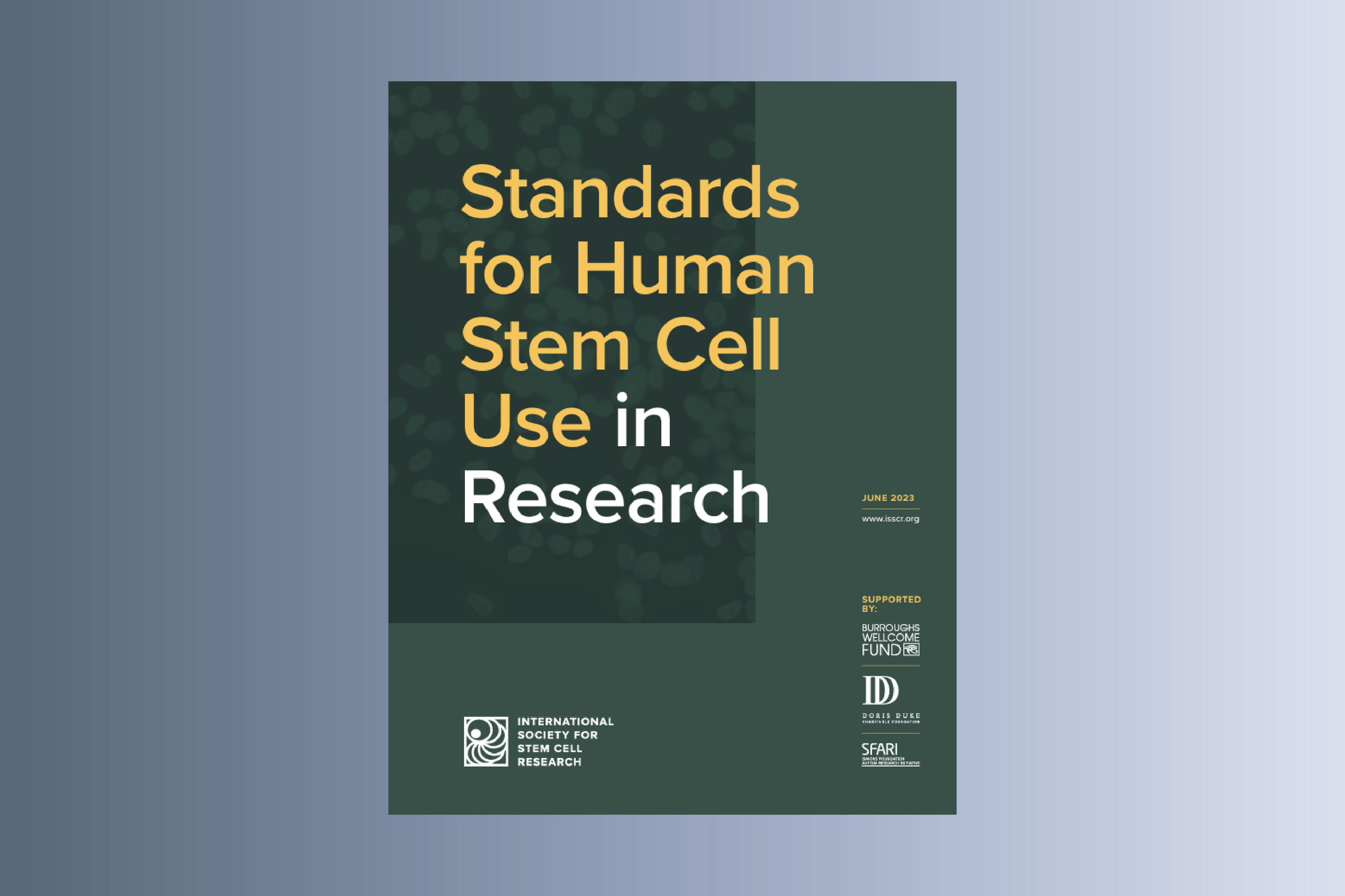 Standards for Human Stem Cell Use in Research