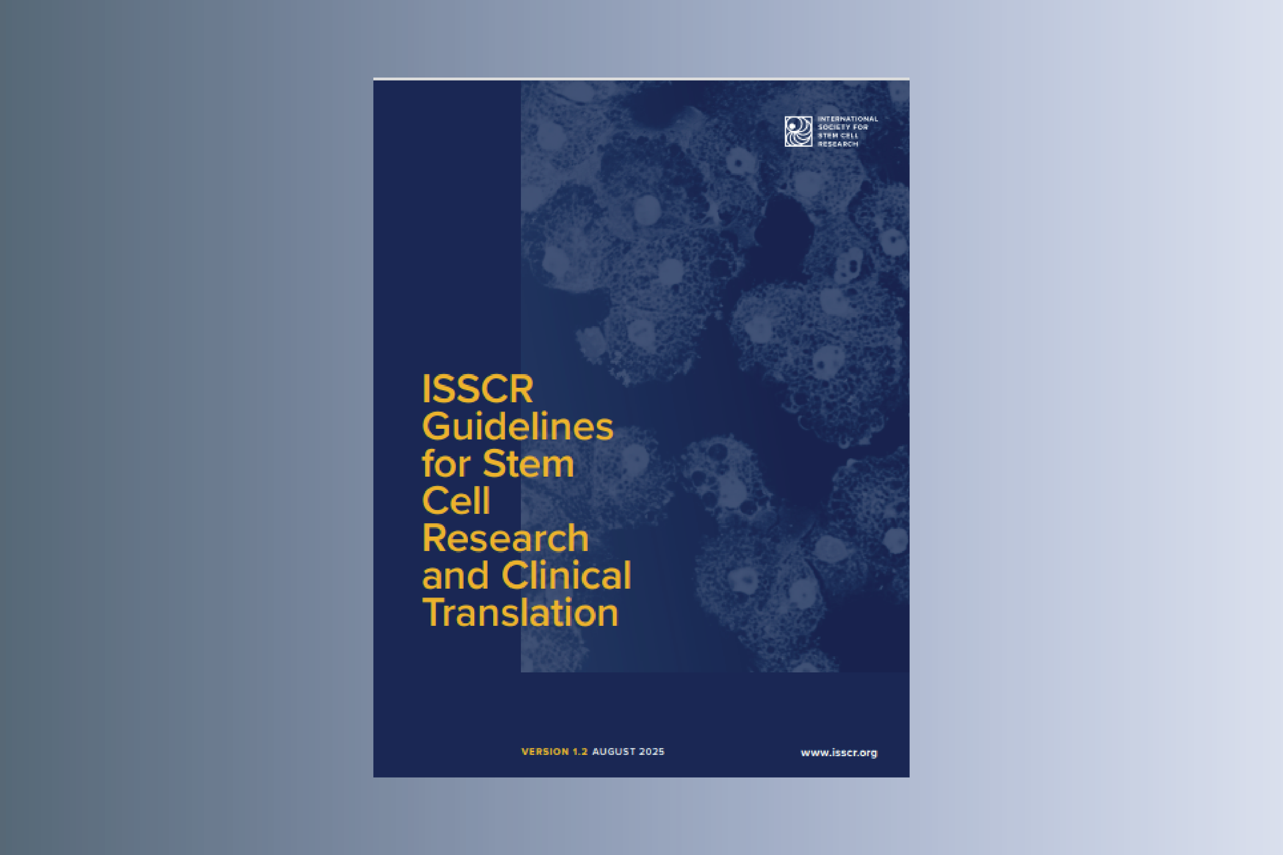 Guidelines for Stem Cell Research and Clinical Translation