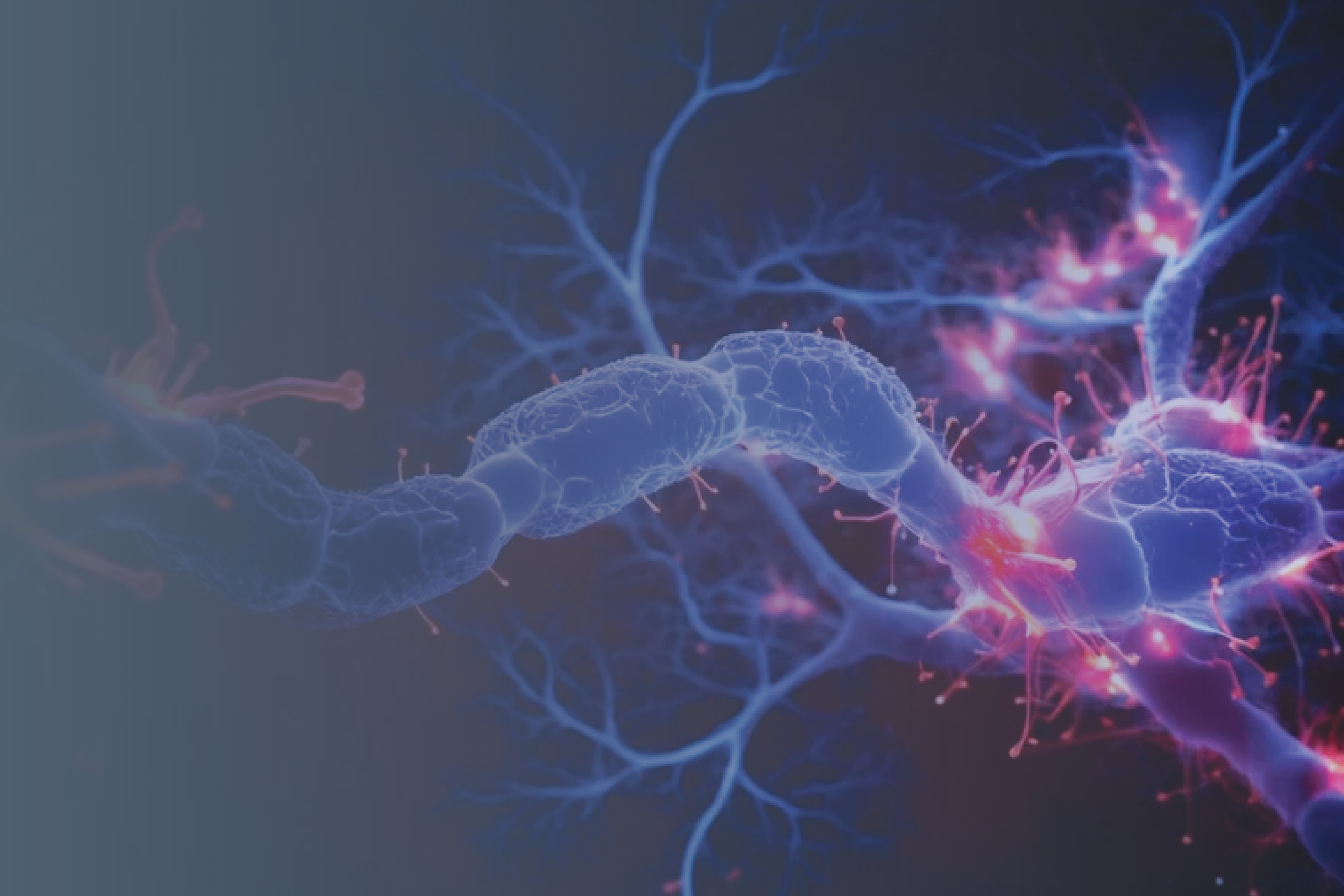 Stem Cell Medicine: Parkinson’s Disease</span>