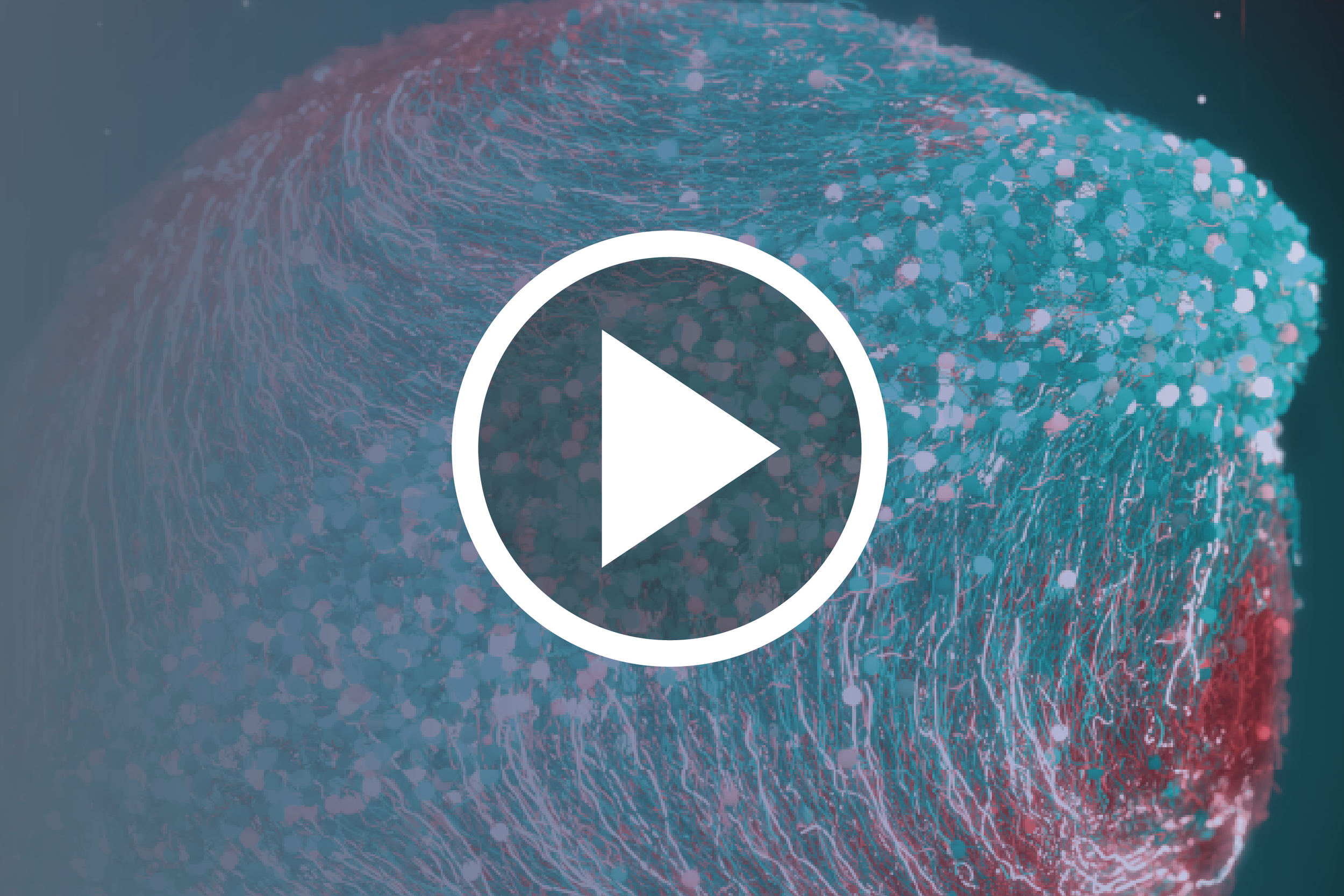 Modeling Human Development: Gene Networks, Organoids, and AI Tools