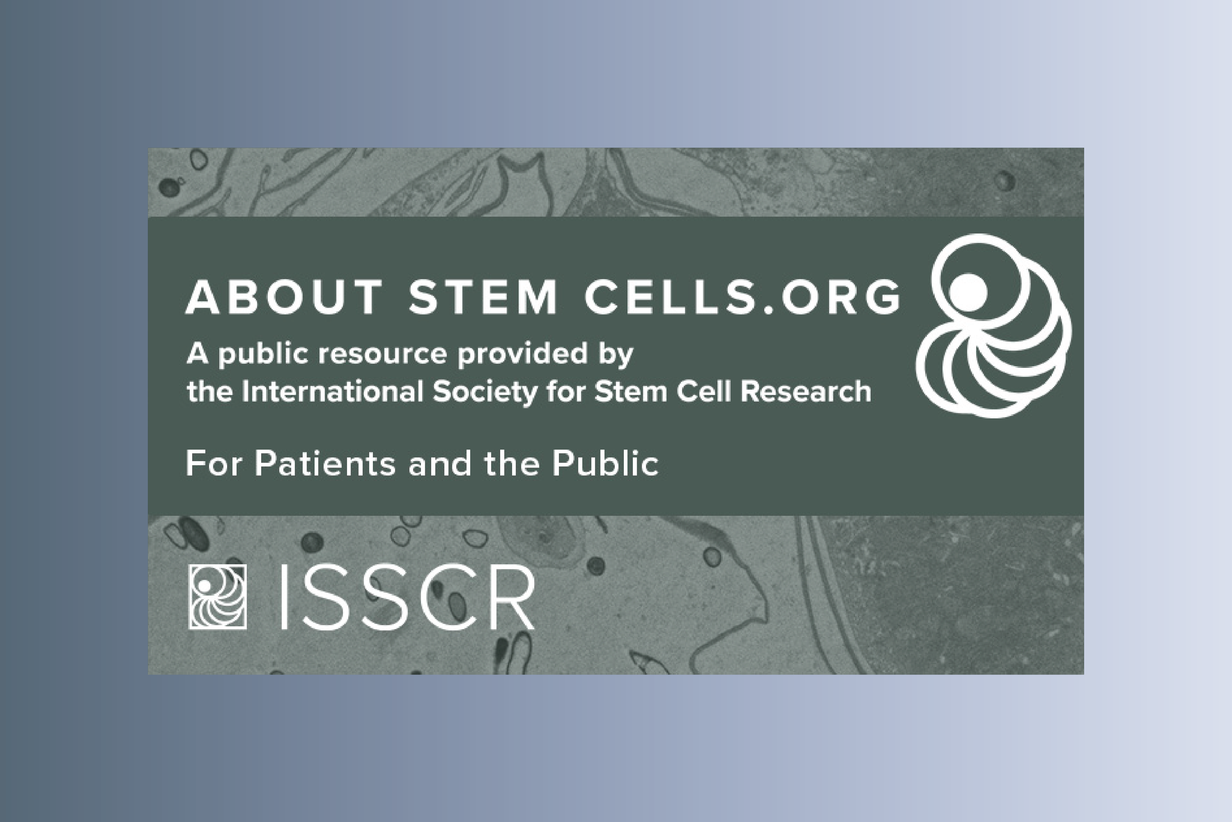 AboutStemCells.org