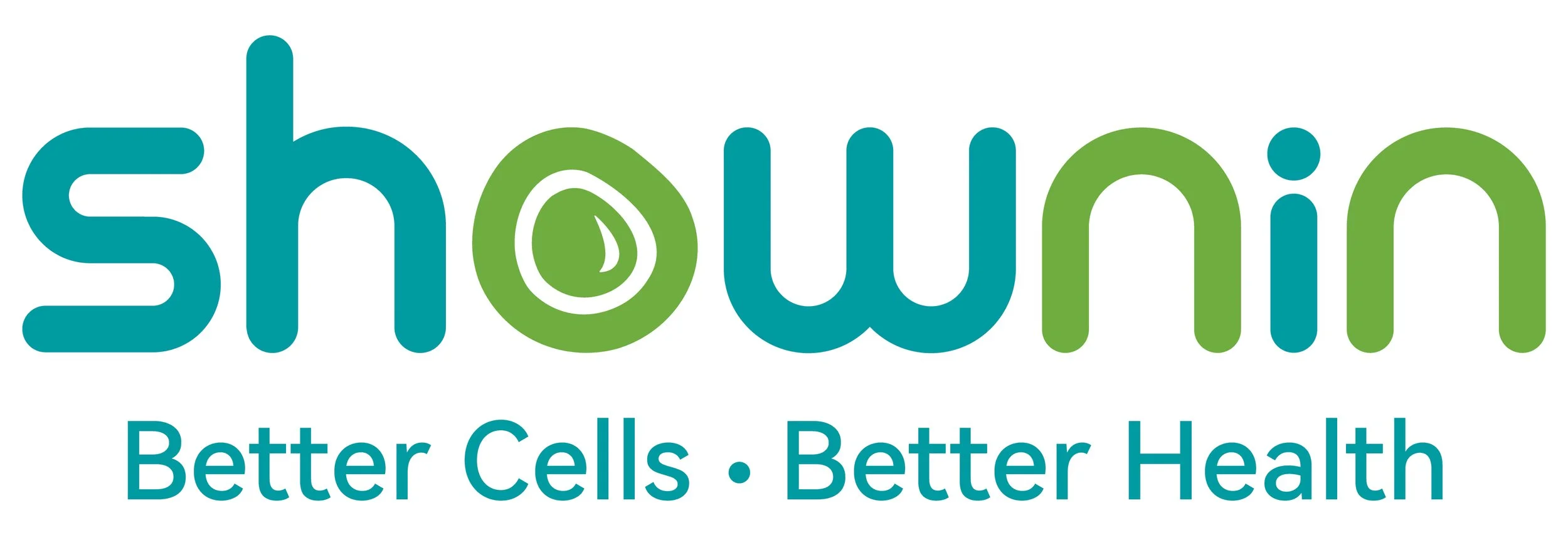 Bronze Sponsor