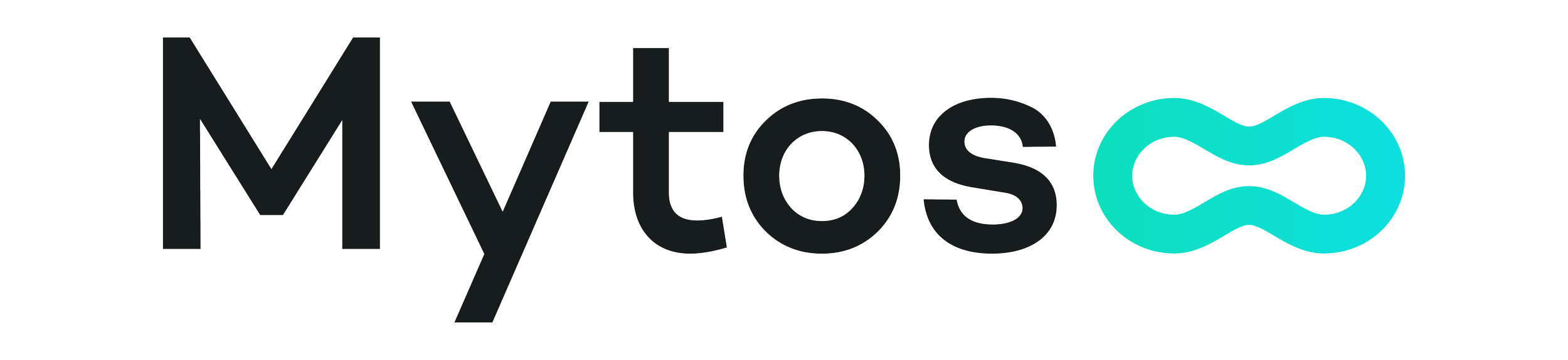 Gold Sponsor