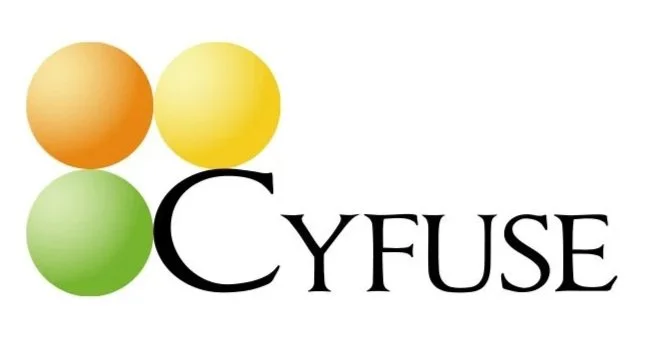 Bronze Sponsor