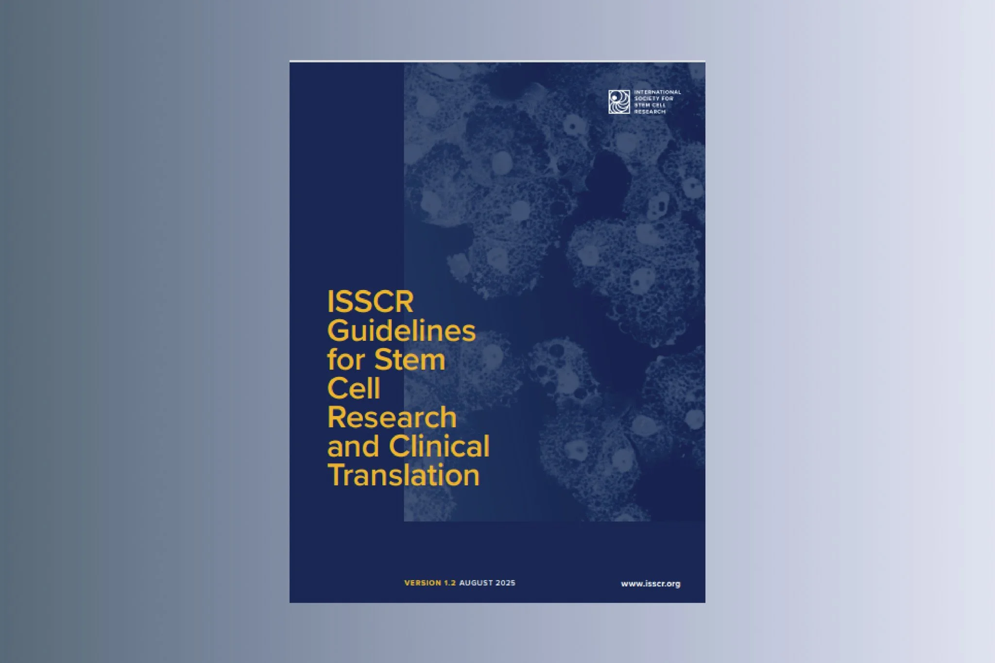 Guidelines for Stem Cell Research and Clinical Translation