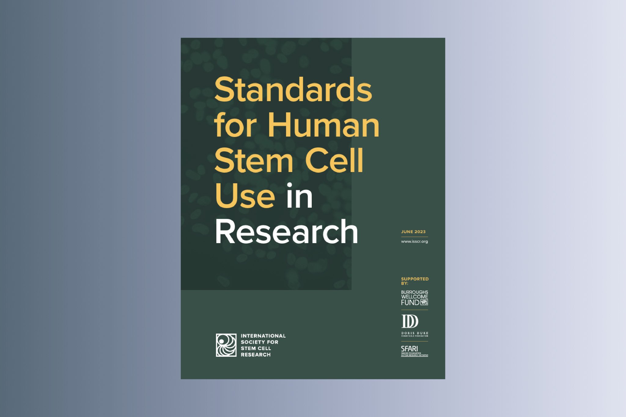Standards for Human Stem Cell Use in Research