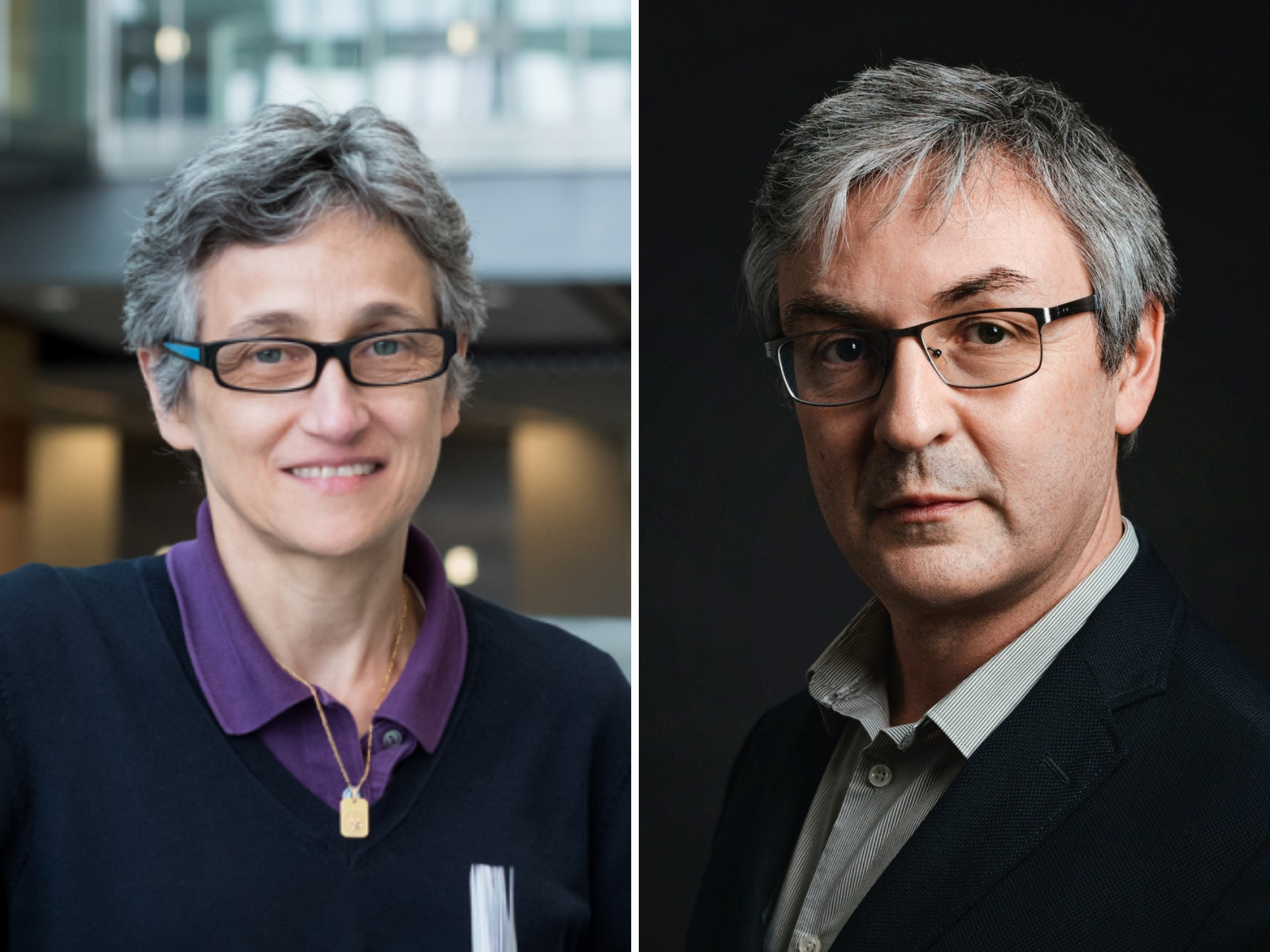 Stem Cell Reports Welcomes Dominique Bonnet and Frederic Relaix as Associate Editors