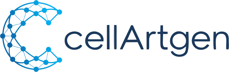Bronze Sponsor