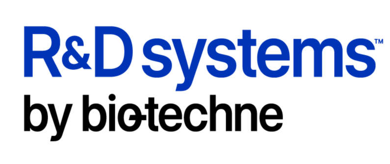 Bronze Sponsor