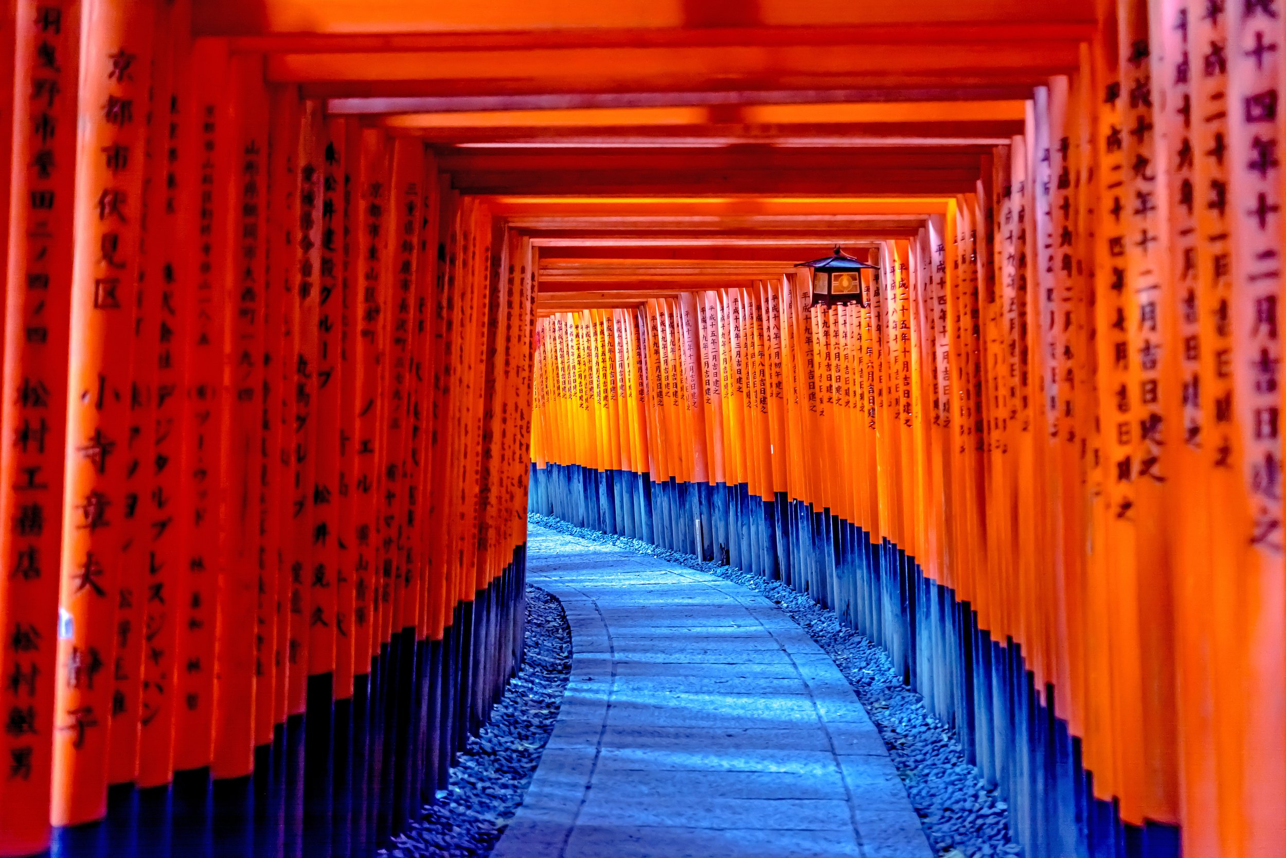 The ISSCR Announces Kyoto, Japan as Host City for 2029 Annual Meeting