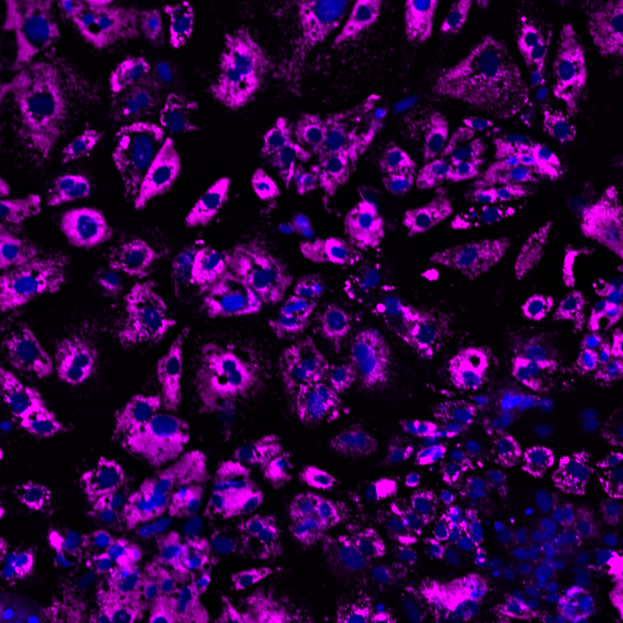 Keystone Emerging Cell Therapies: A New Era of Regenerative Medicine