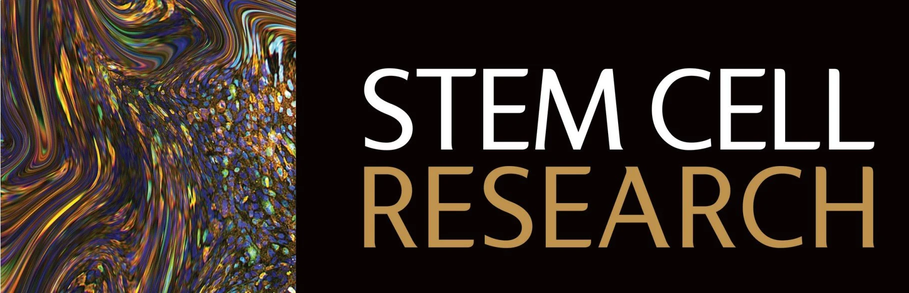 Stem Cell Research