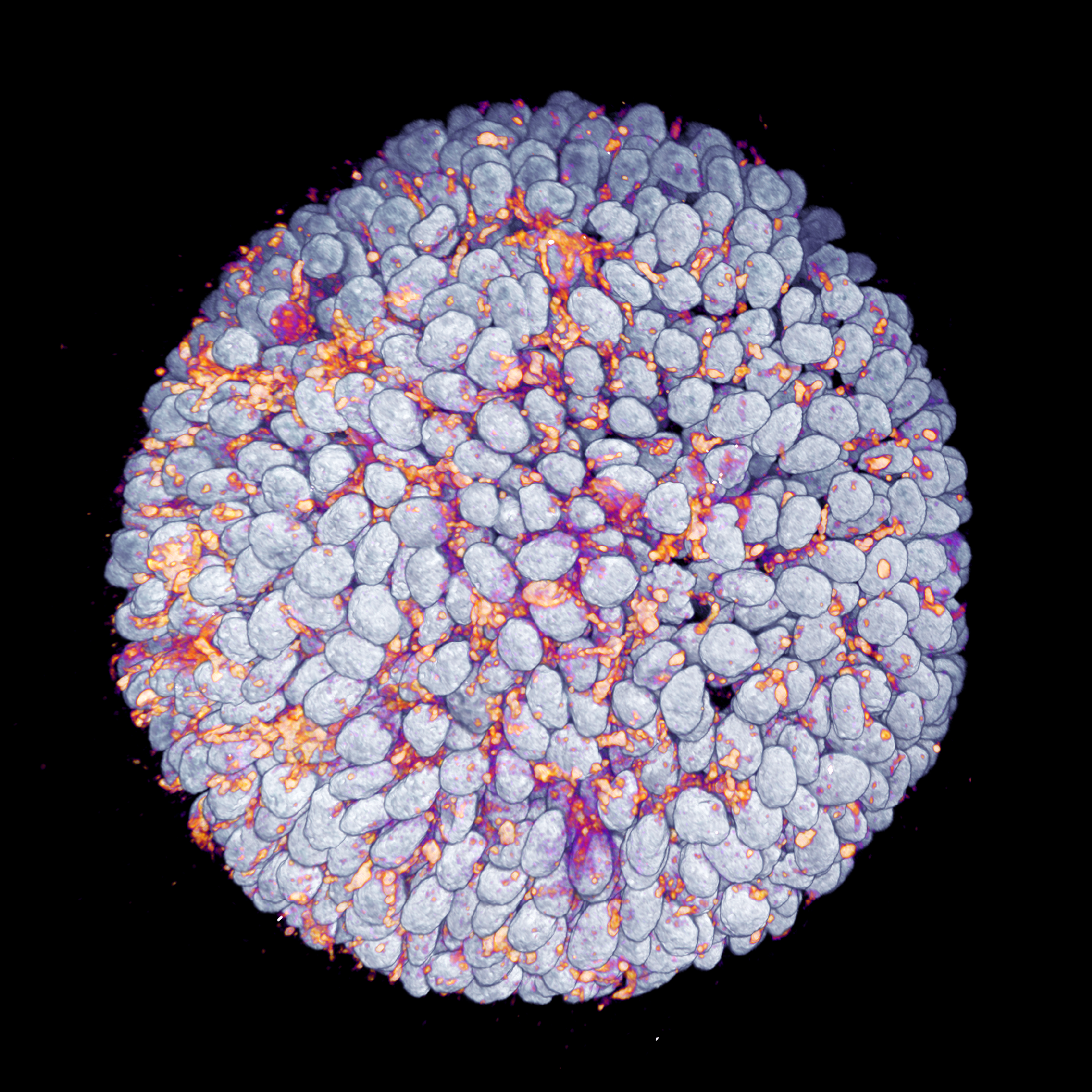 Disease Modeling and Drug Discovery Symposium