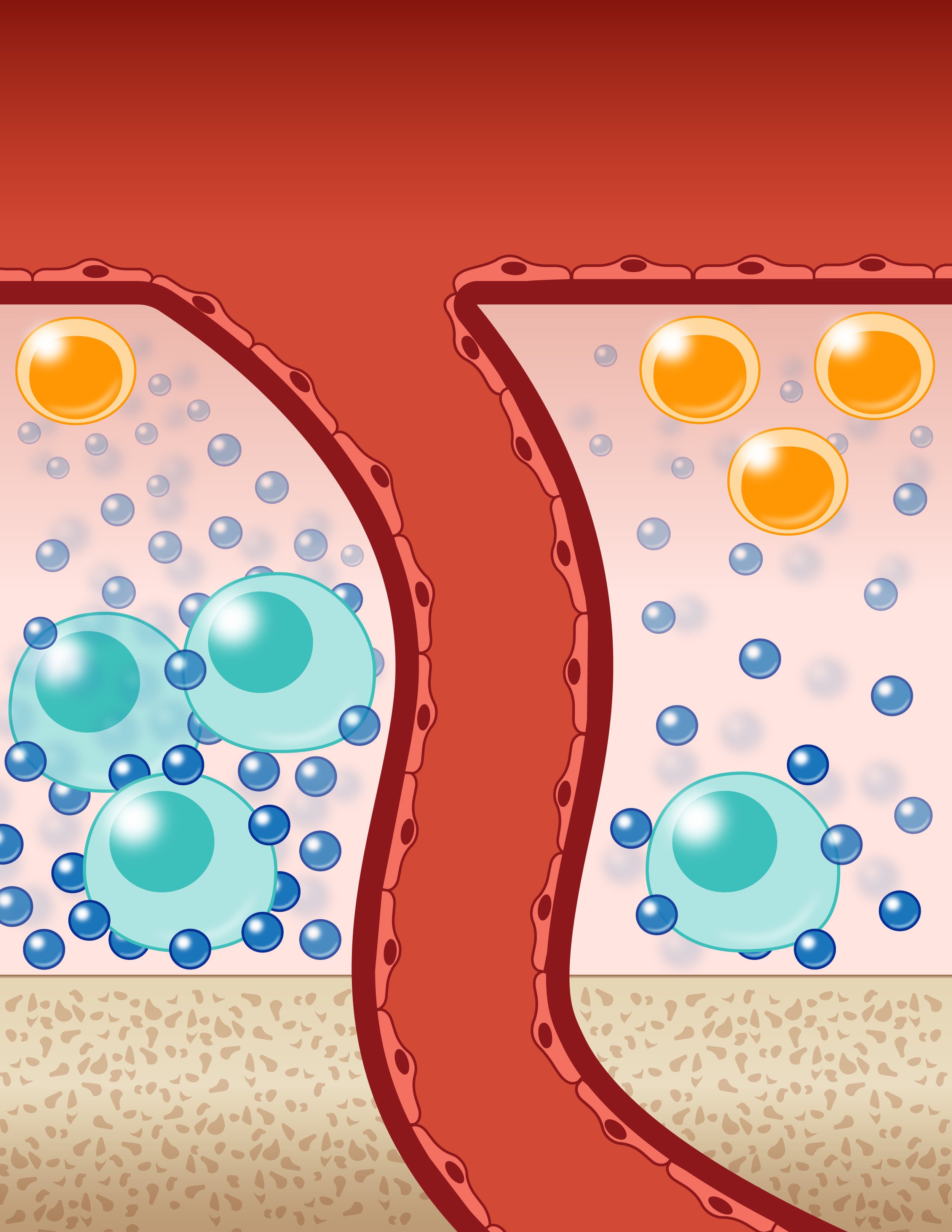 Stem Cell Reports Most Downloaded Papers of 2025 Highlight the Breadth and Impact of Stem Cell Research