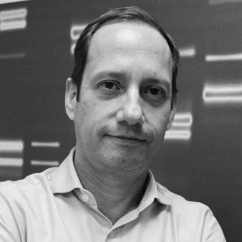 Member Spotlight: Stevens Rehen, PhD