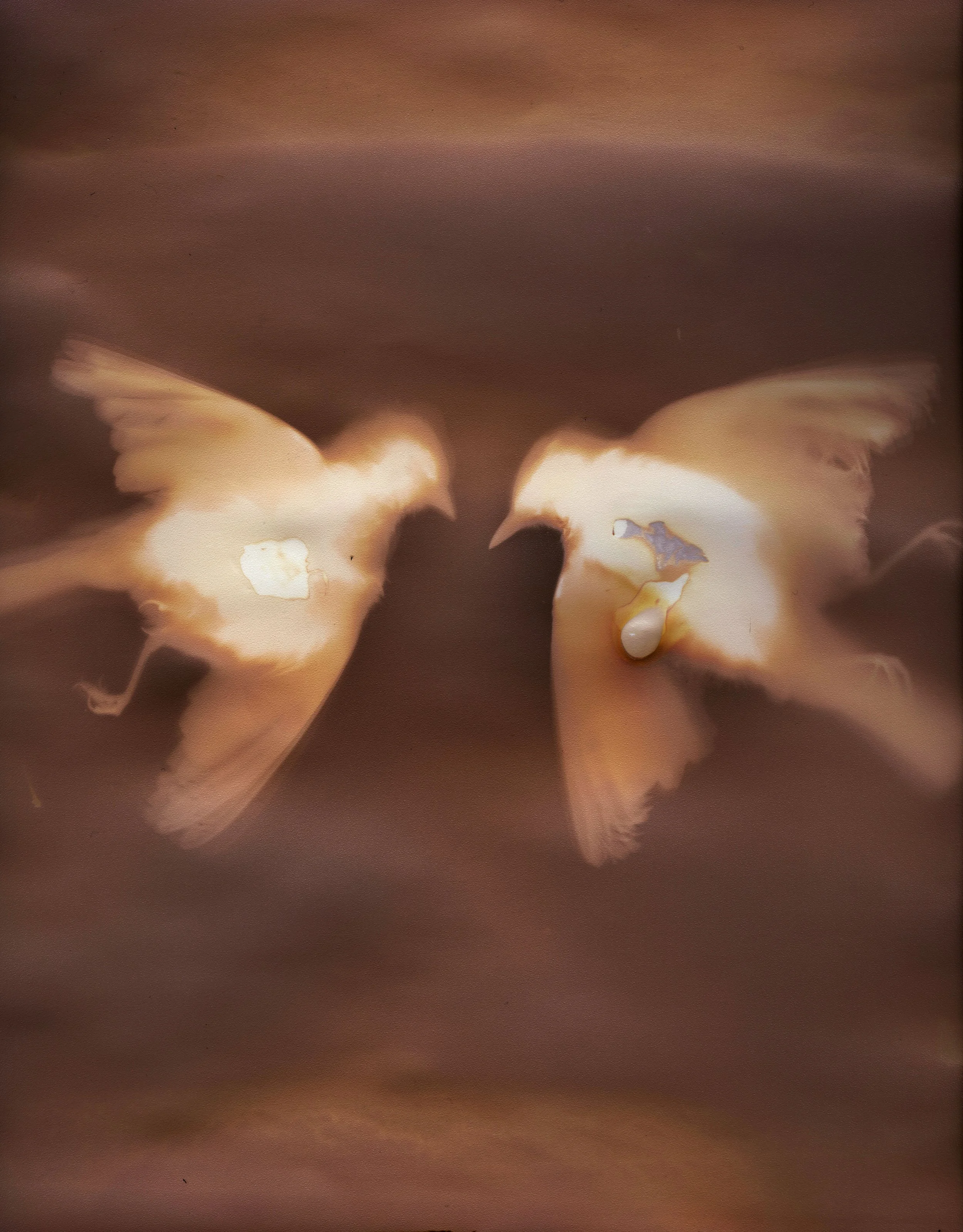 Liminal Lumen 3.jpg