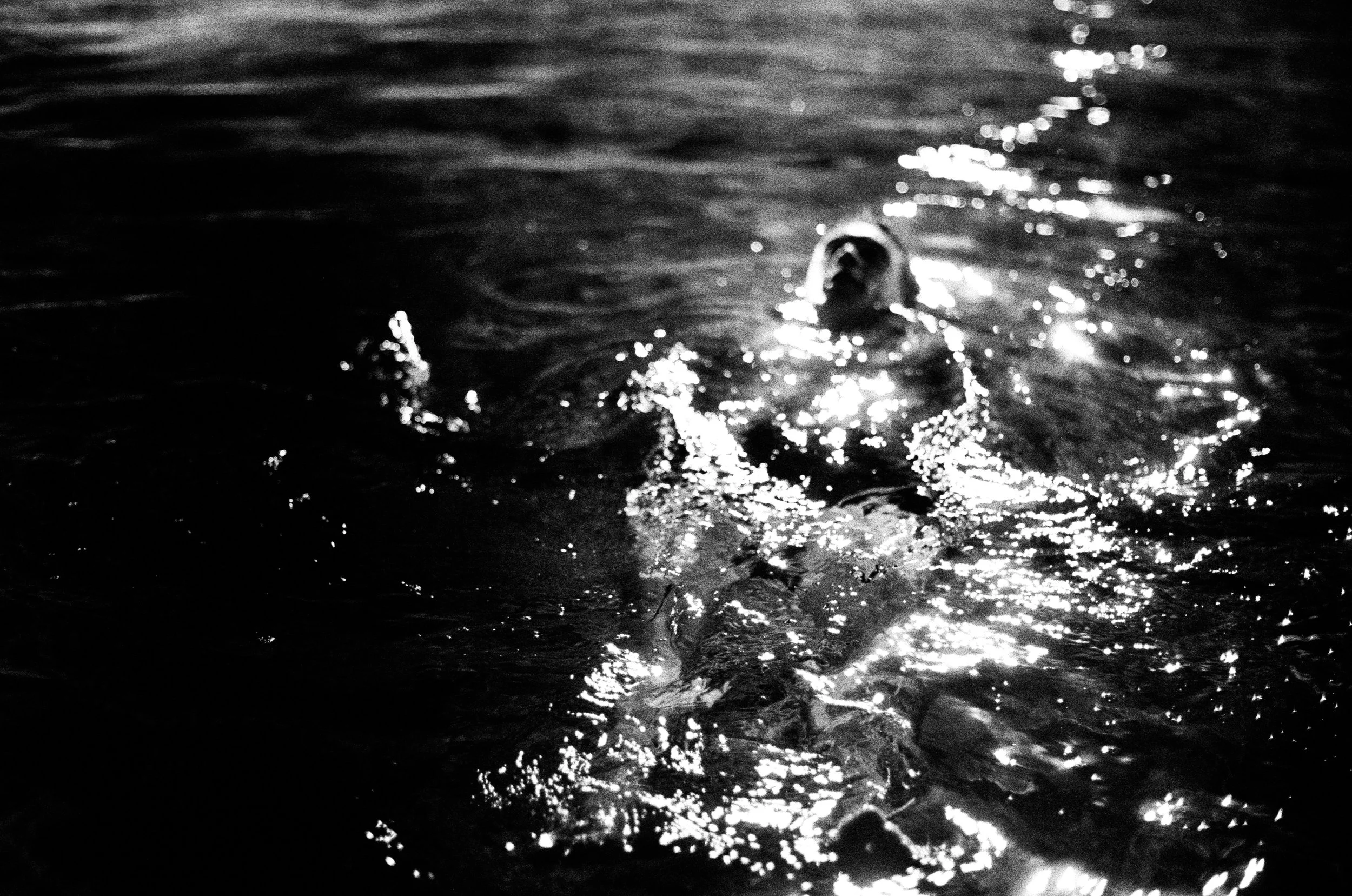 030_Agatha_A._-_RÅN_studio-37.jpg