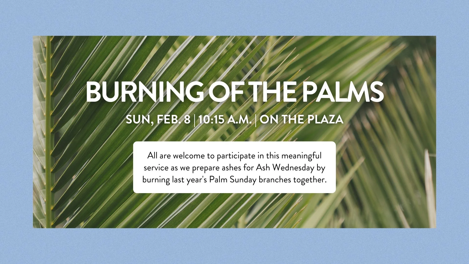 Burning of the Palms
