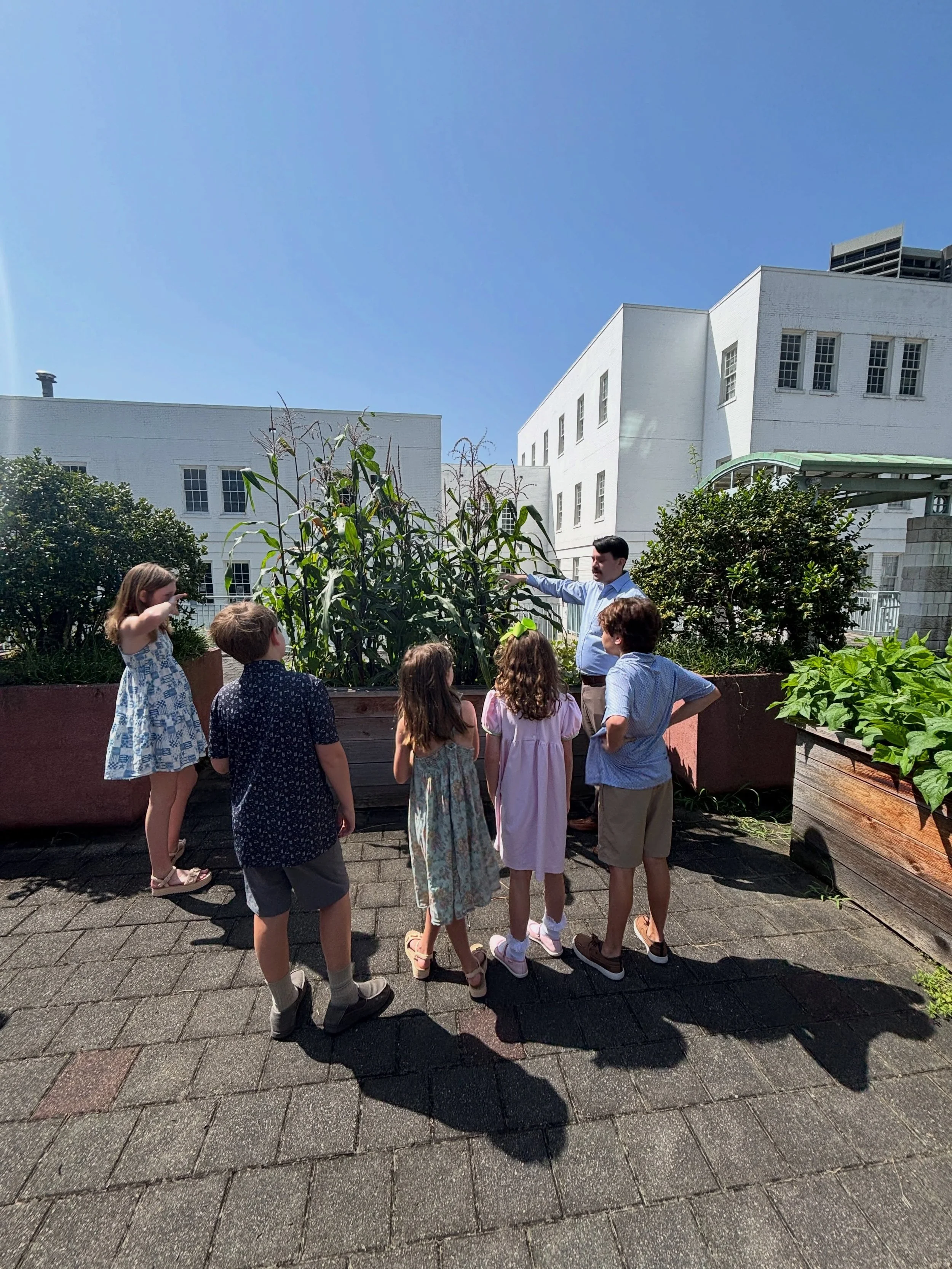 Our Kids Club harvested corn and melon today from our garden boxes! The food will be donated to our friends at Toco Hills Community Alliance.