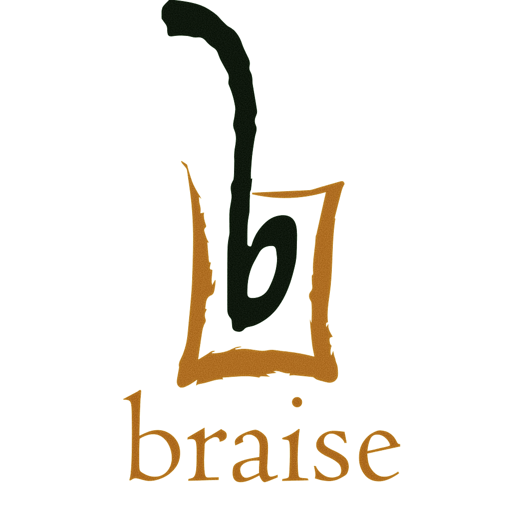 BRAISE-LOGO-darkerorange - David Swanson.png