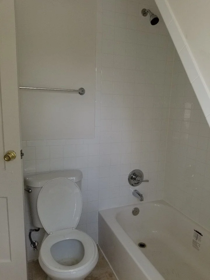 DC BATHROOM REMODEL — DL INTERIORS