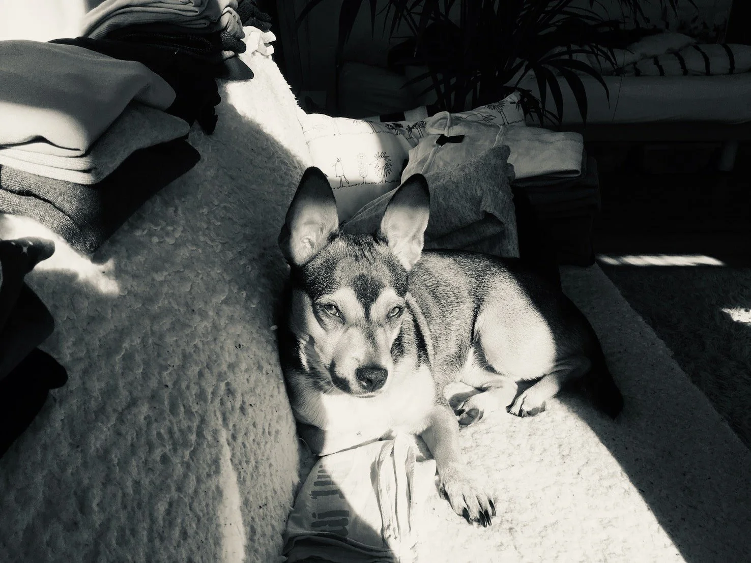 Clearing out your clothes and your brain