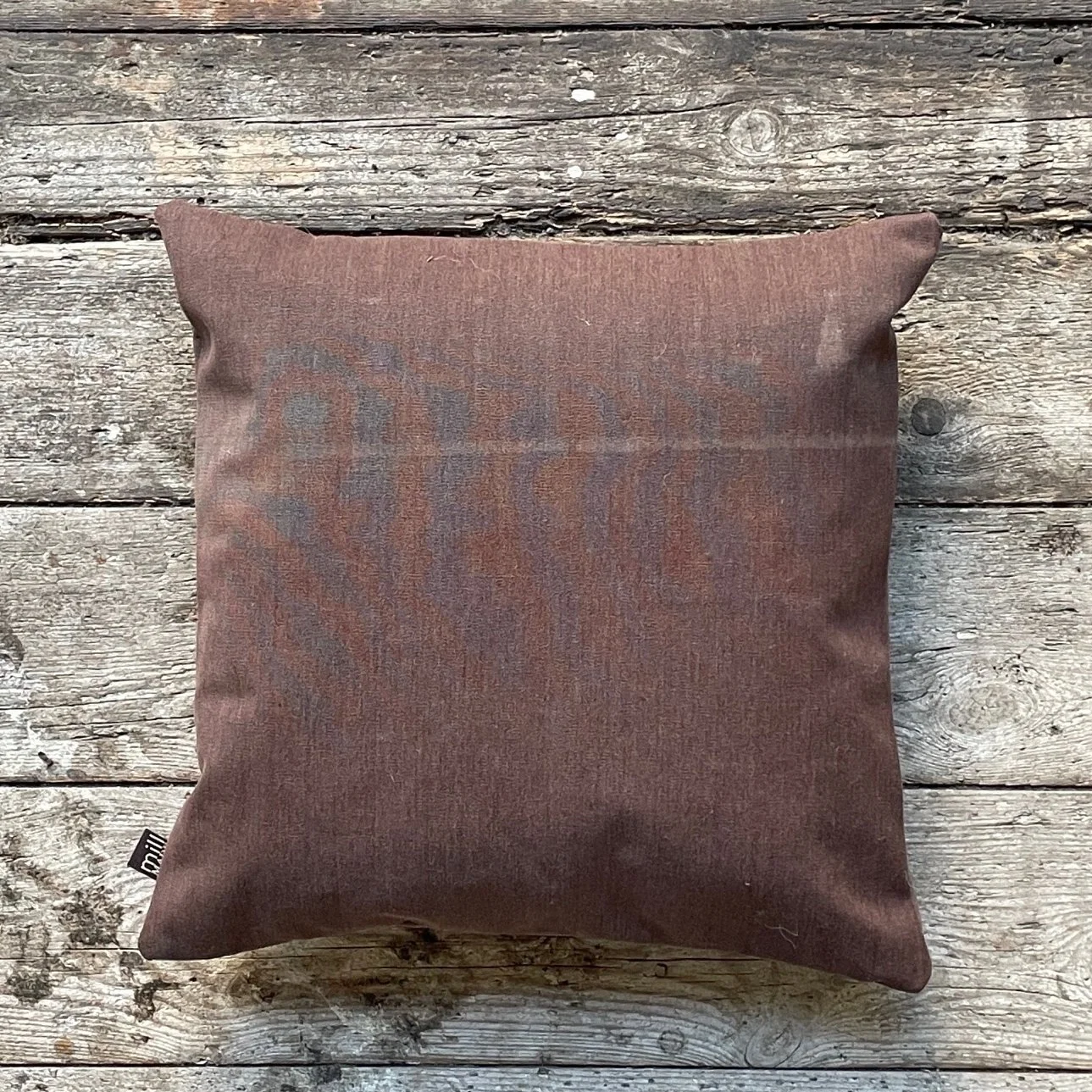 Willem the cushion