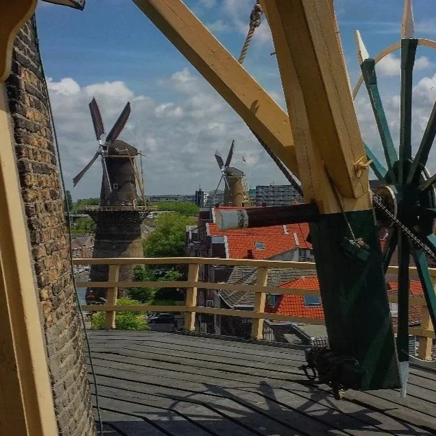 De Schiedamse Molens