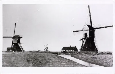 Cabauw - Drie wipmolens.jpeg