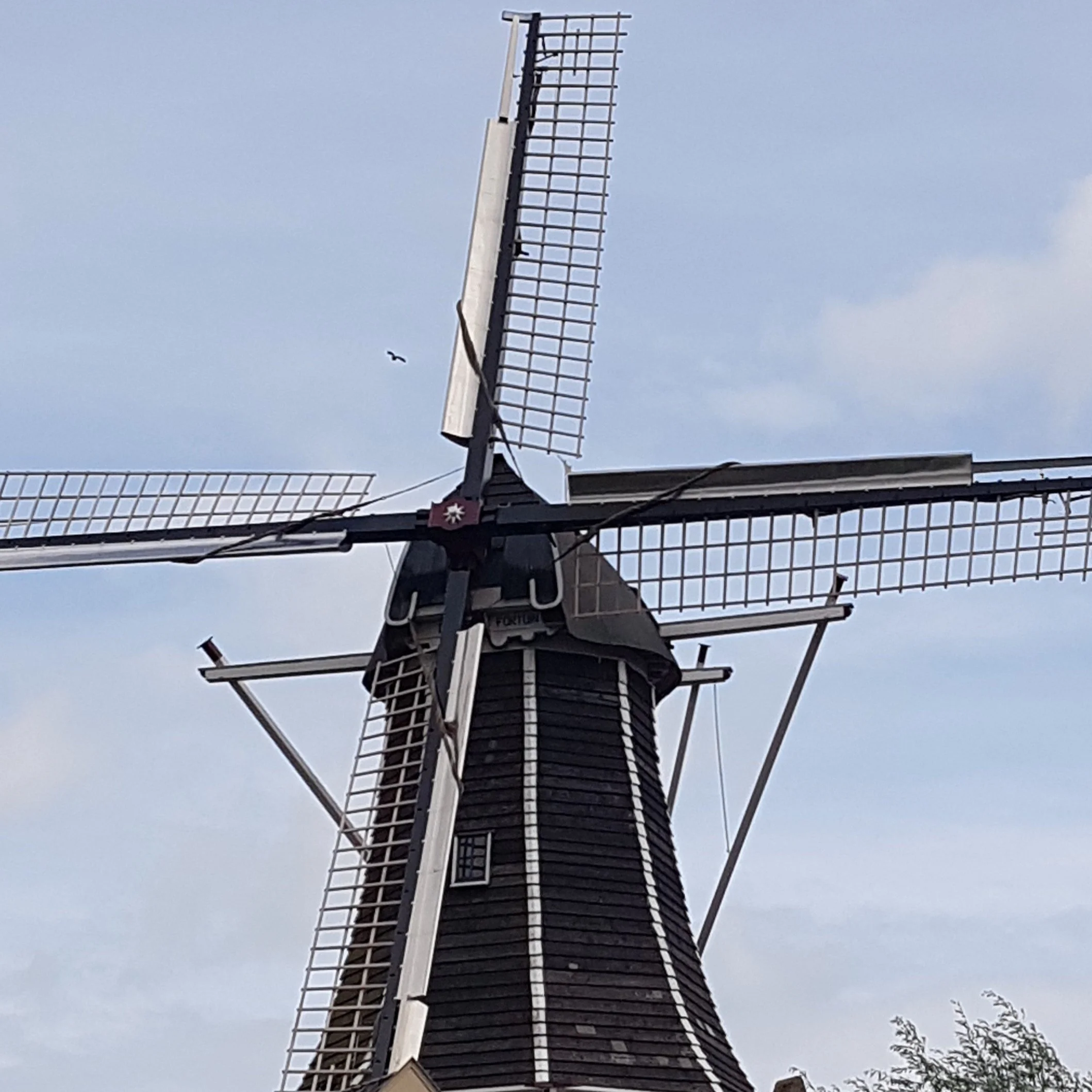 Listen to a scary story about windmills