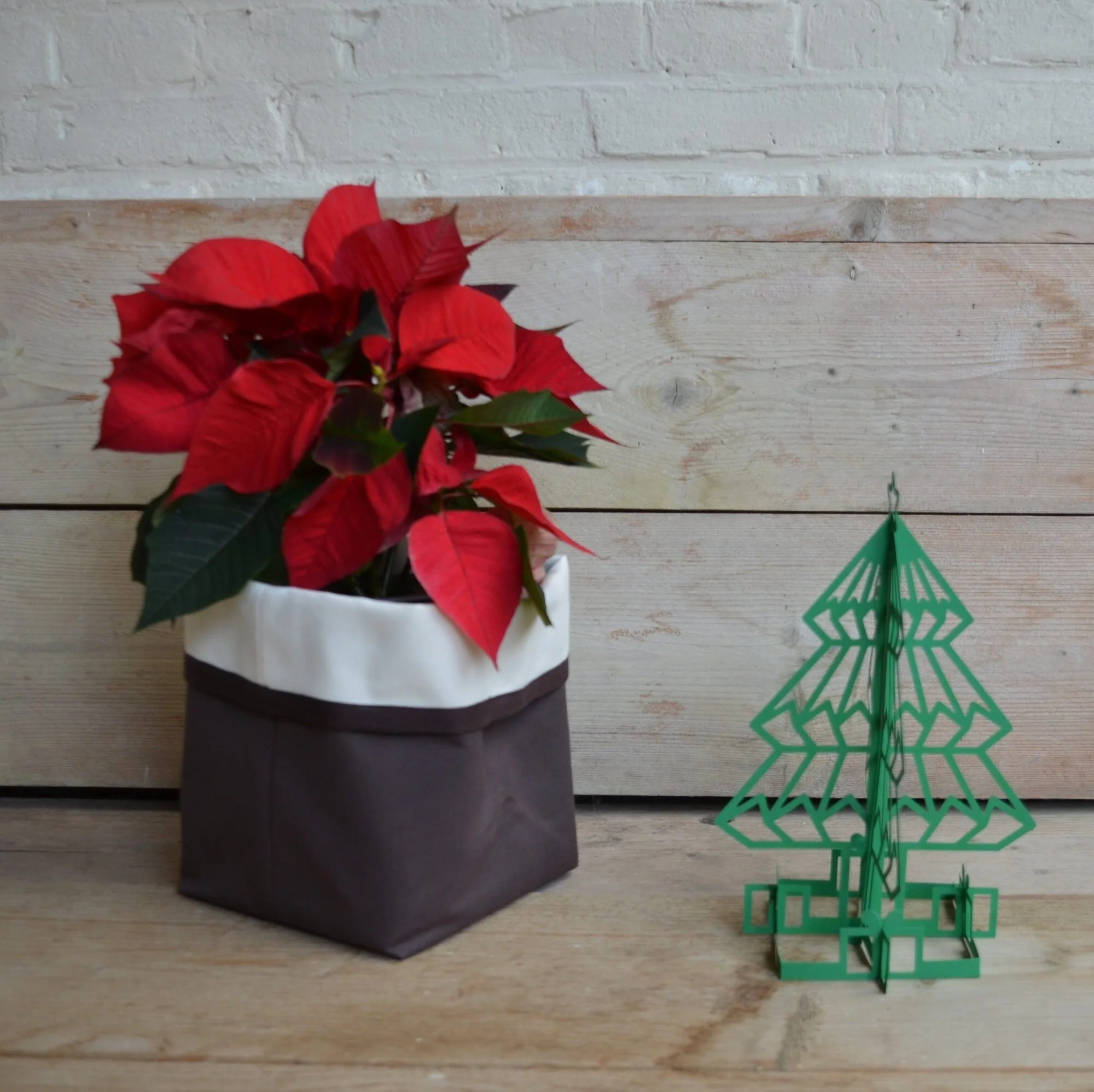 Are you searching for the perfect Christmas present?