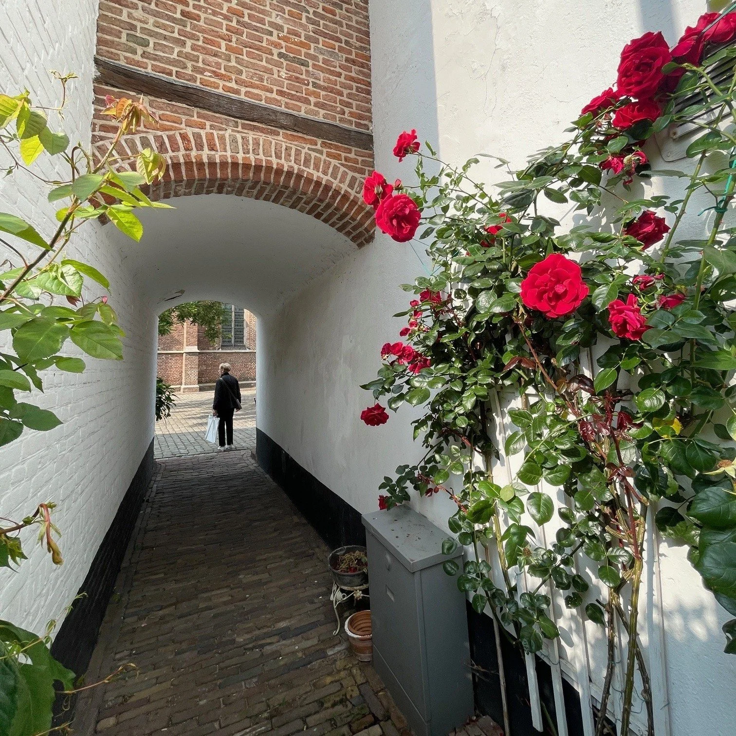 Hattem VoiceMap tour