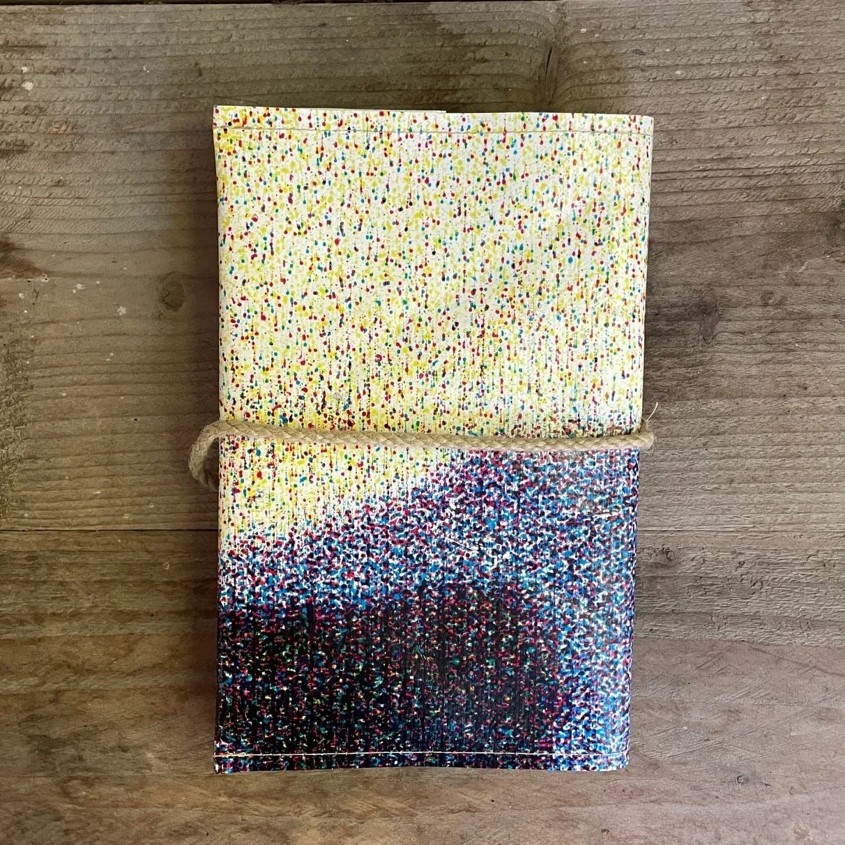 Domien the book protector