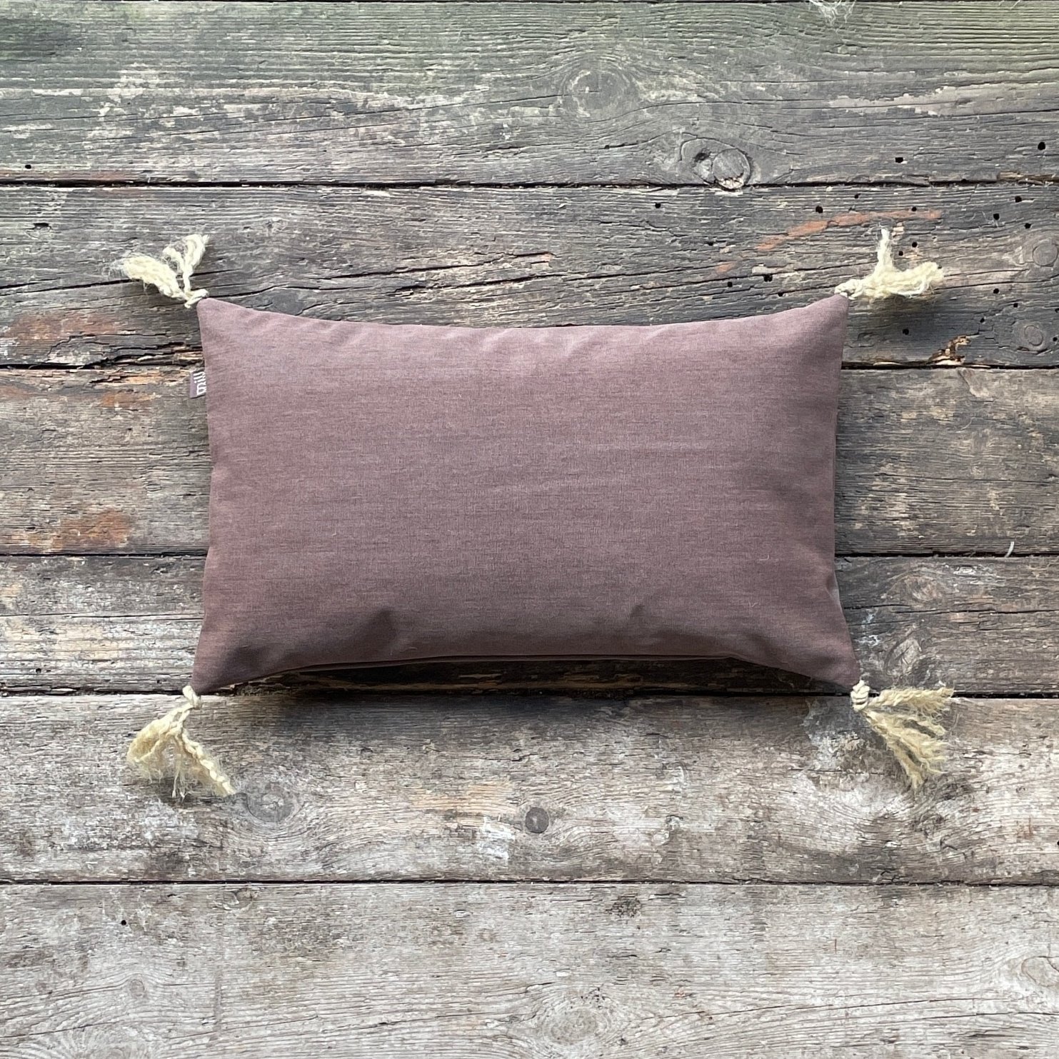 Willem the cushion