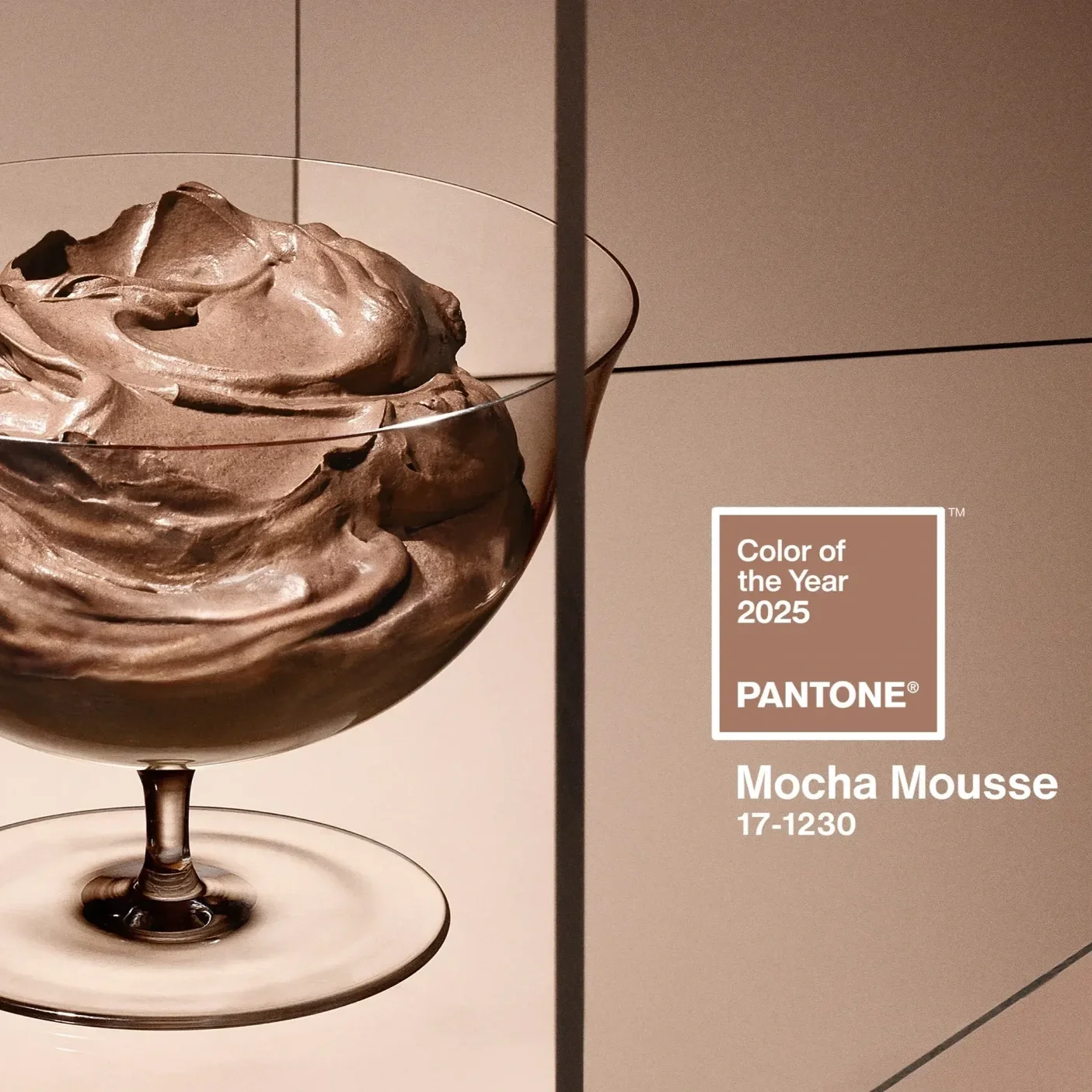 Pantone Mocha Mousse