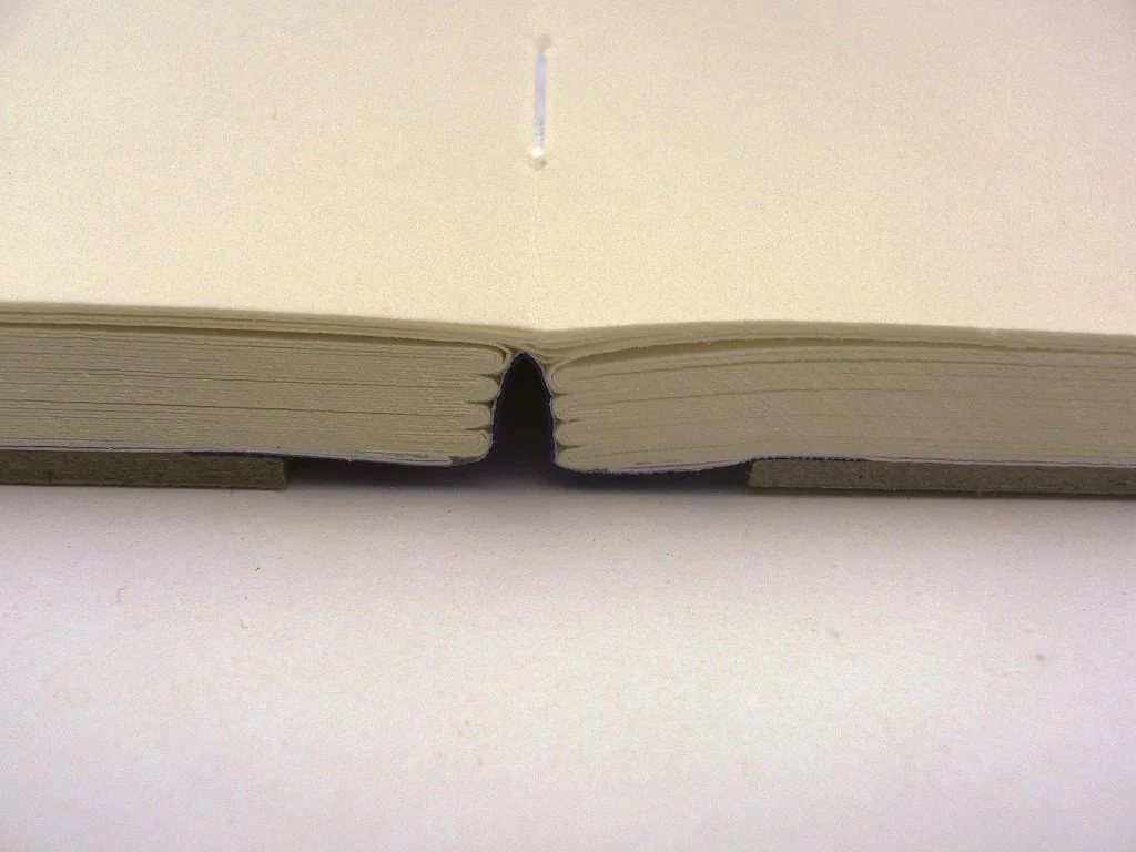 Domein - the book protector