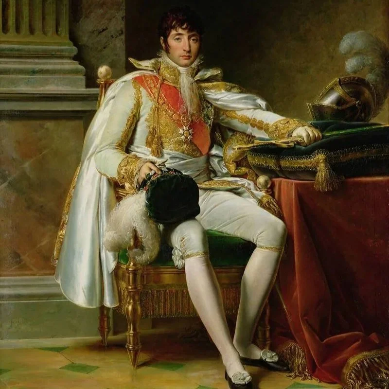 Louis_Napol%C3%A9on_peint_par_Fran%C3%A7ois_G%C3%A9rard.jpg