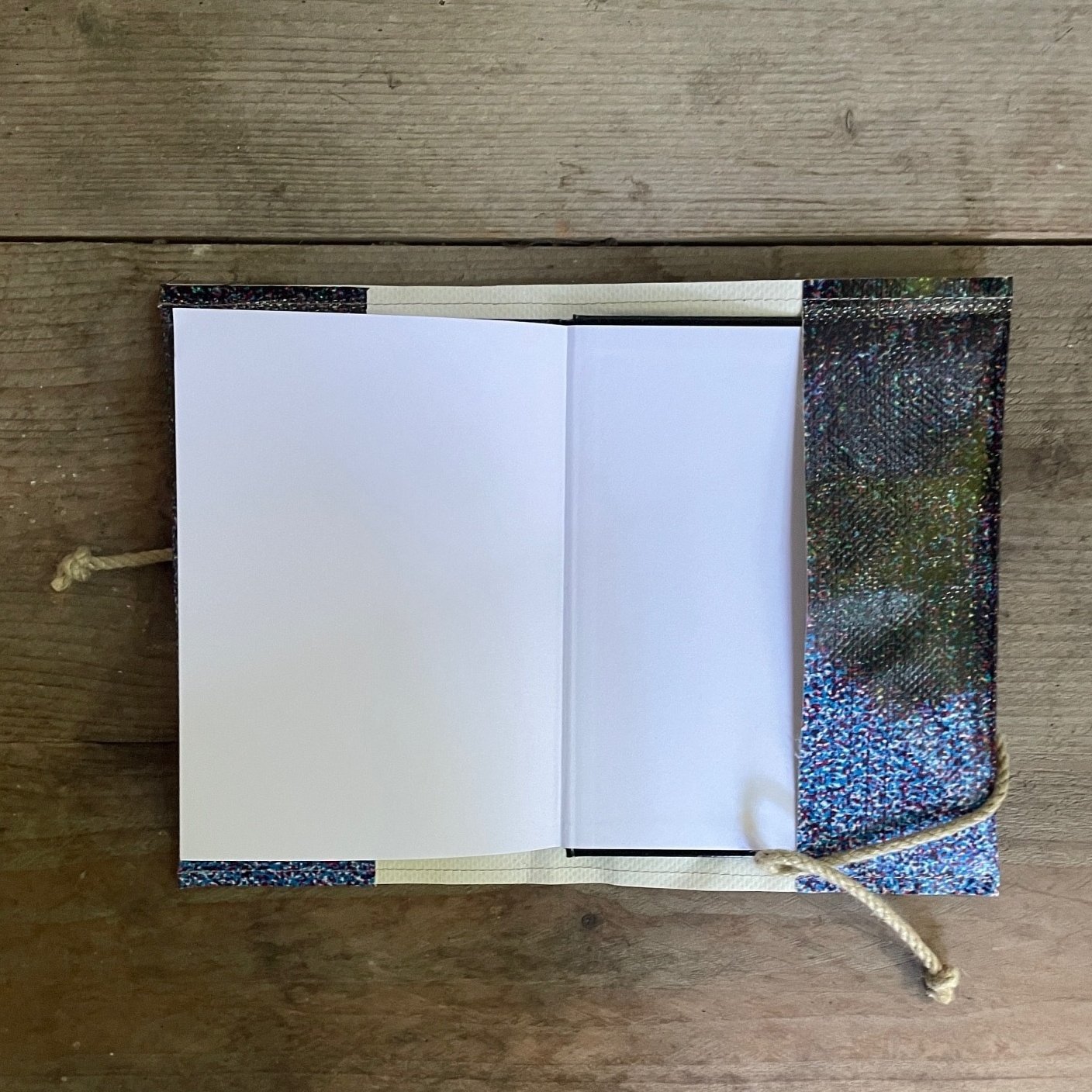 Domien - the book protector