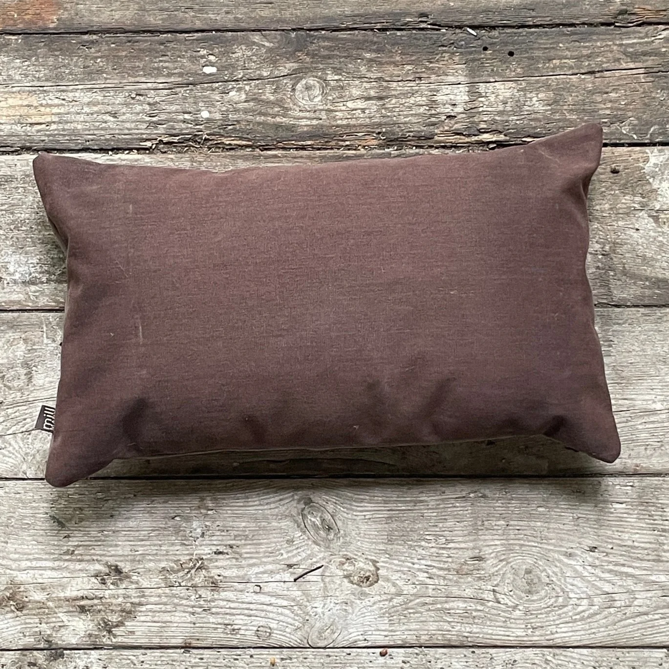 Willem the cushion