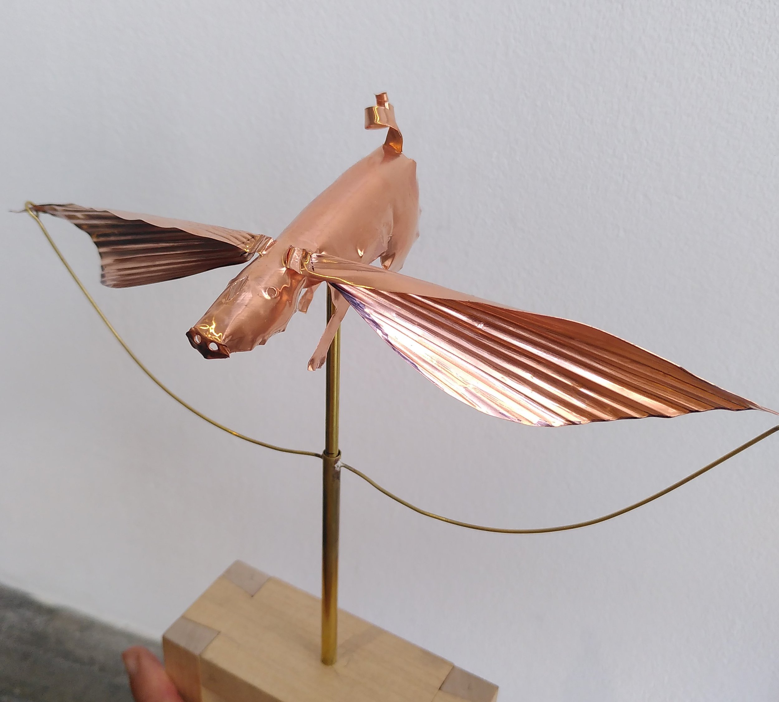 Flying Pig.jpg