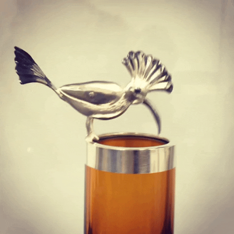 Happy Hoopoe Gif.gif