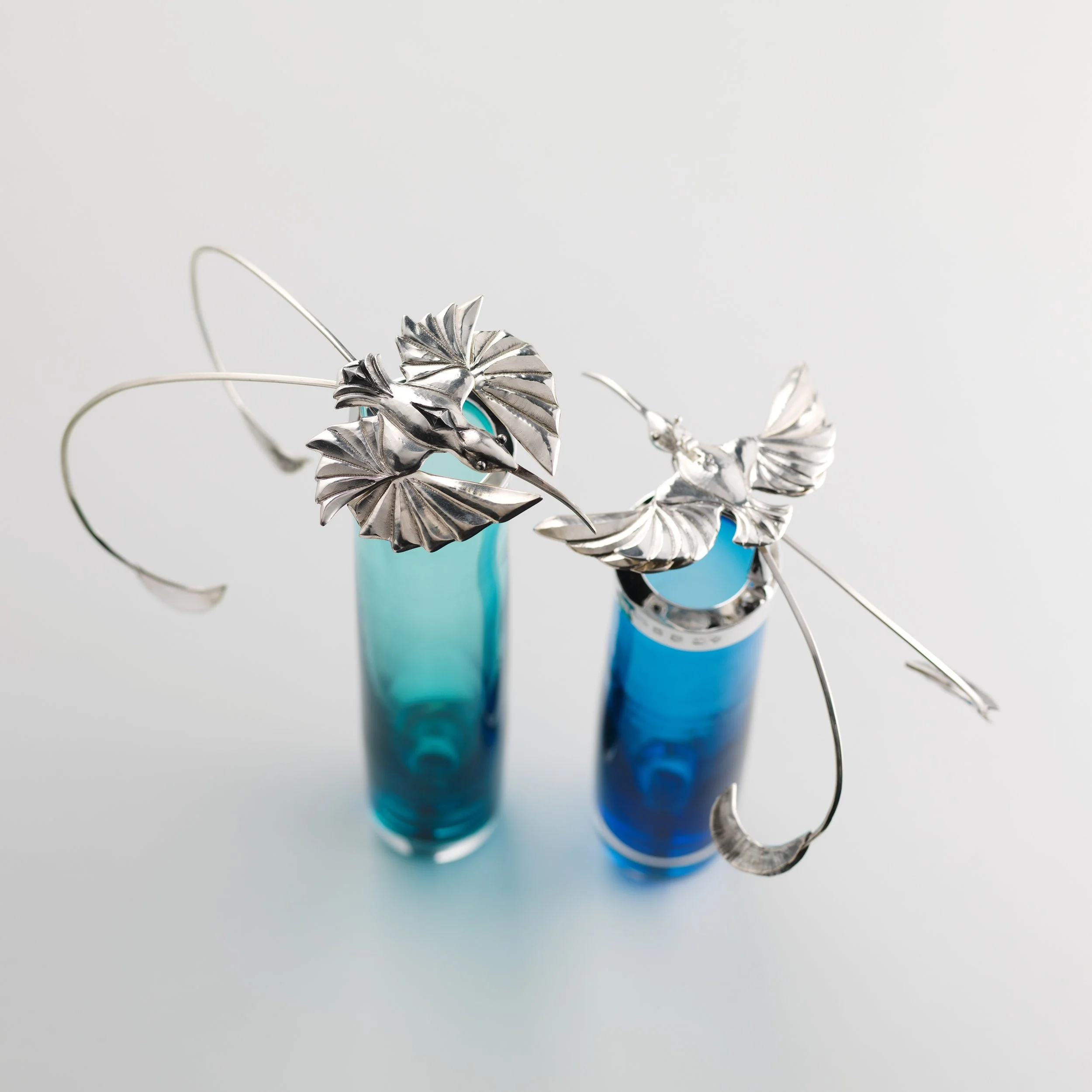 Floating Hummingbirds. Birds Eye View. Bryony Knox.jpg