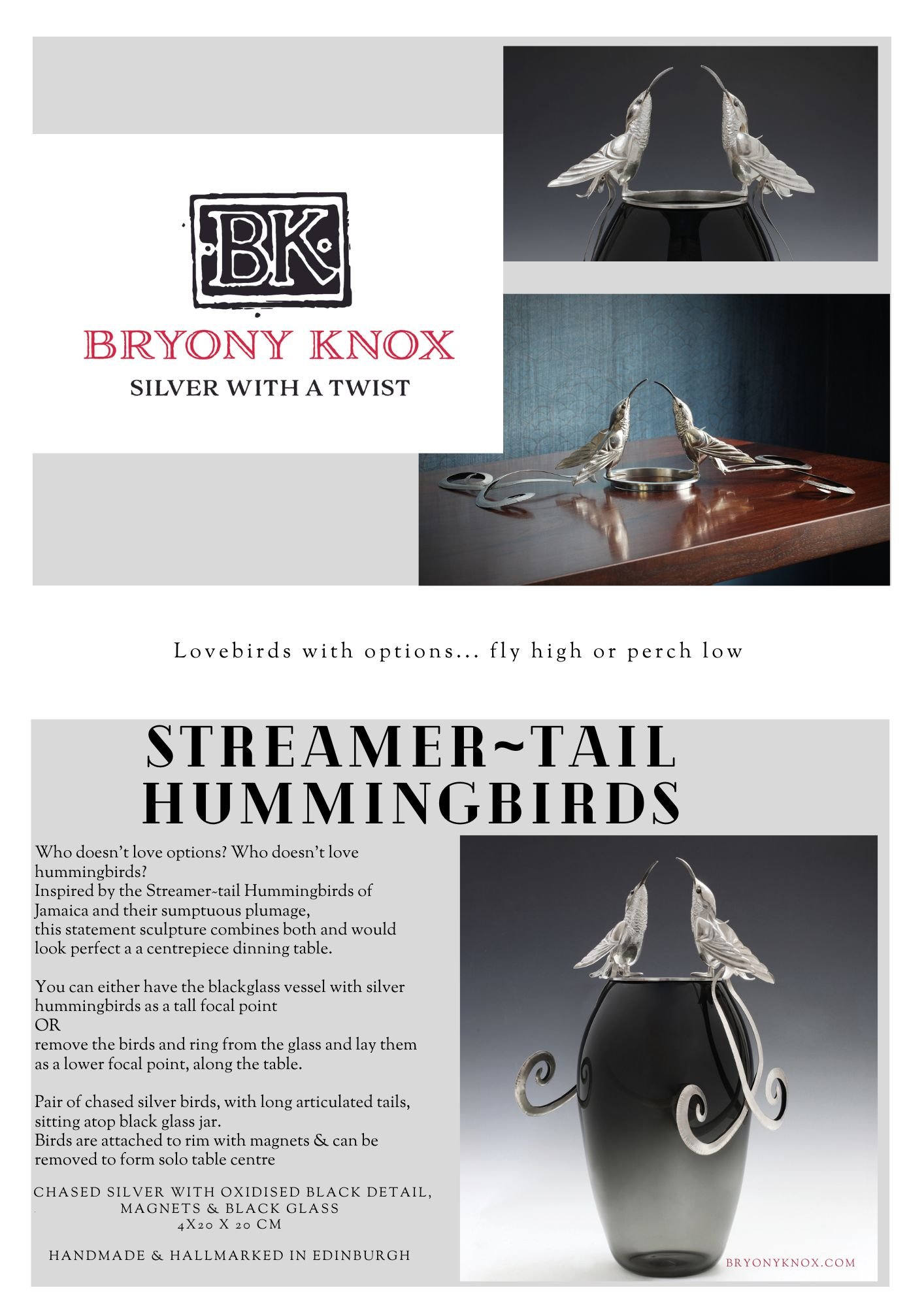 Streamertail Hummingbirds. Bryony Knox. Info Sheet.jpg