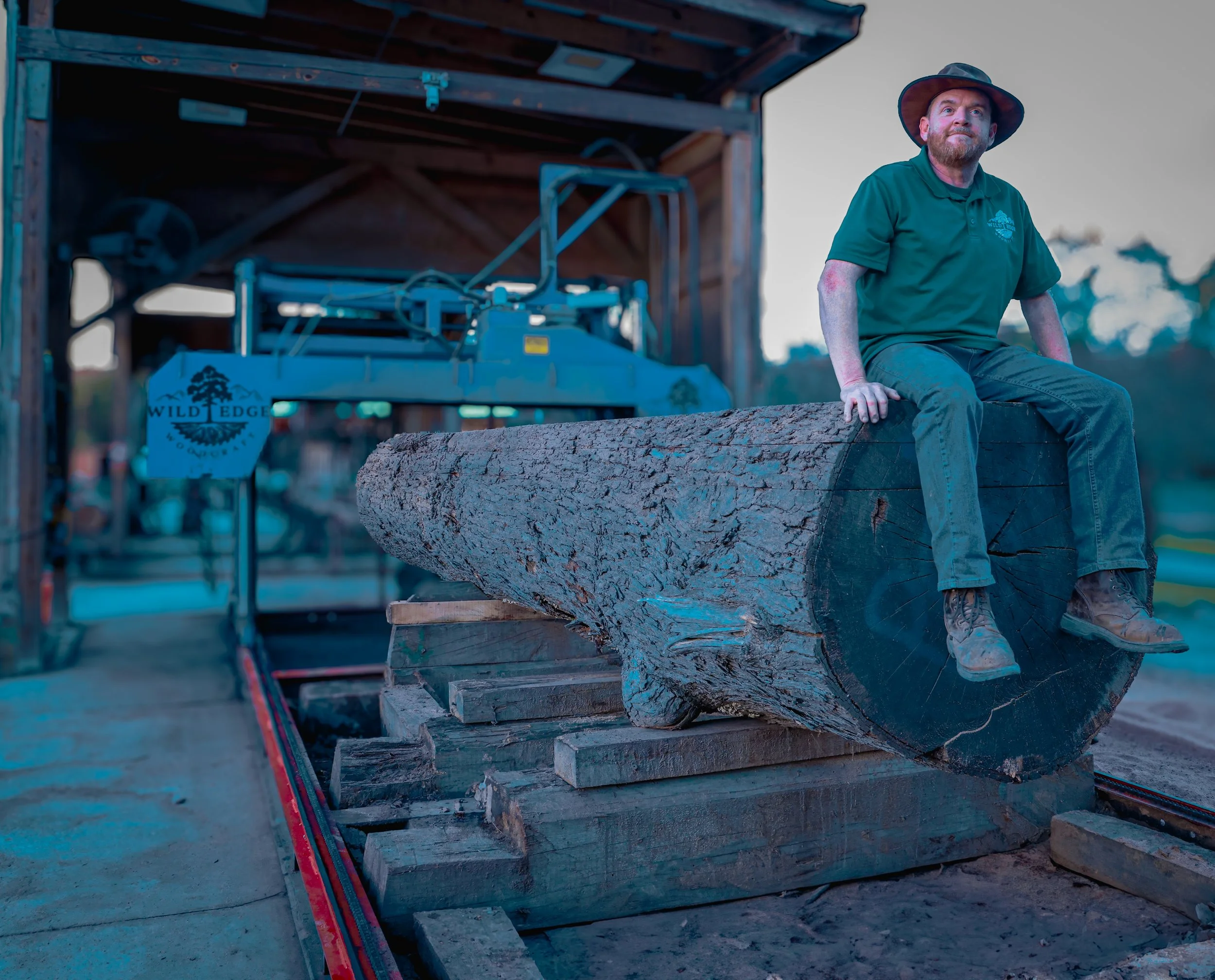 From the Roots Up: Why We Start With the Tree 